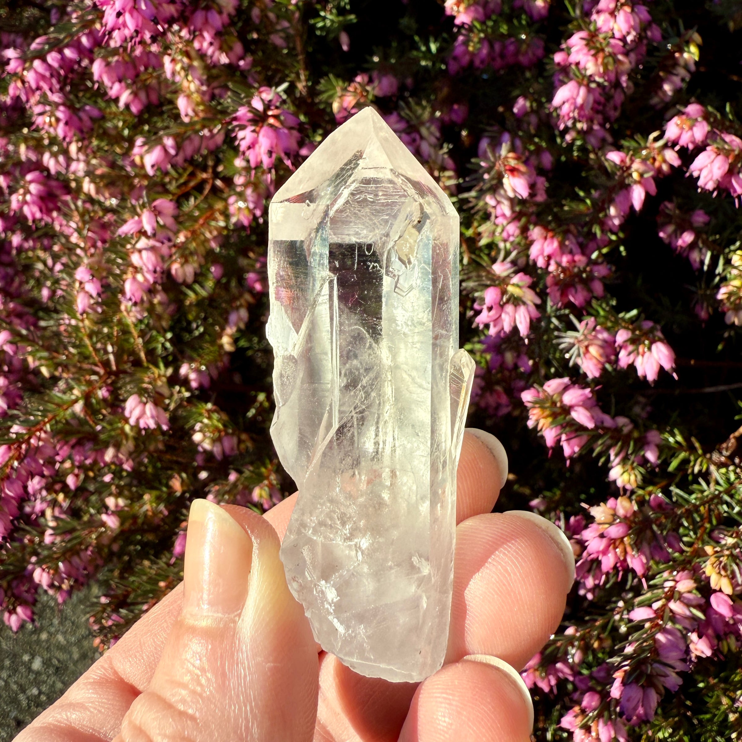 Lemurian Quartz Crystal