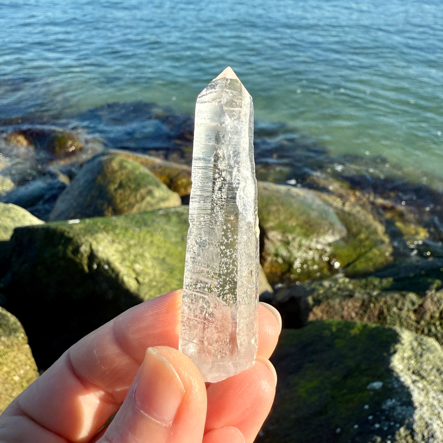 Lemurian Quartz Starbrary Crystal
