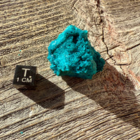 Chrysocolla - Raw Mineral Specimen