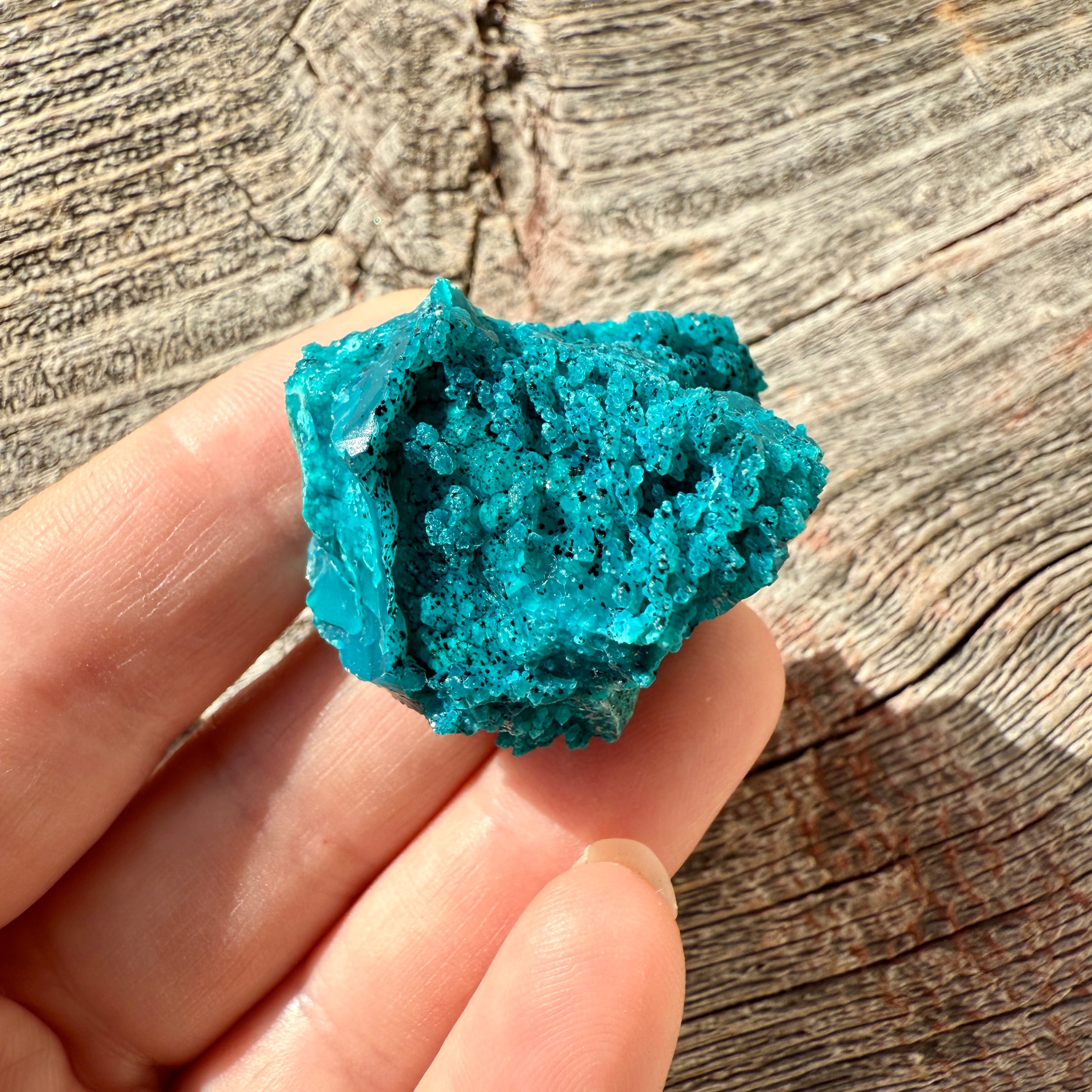 Chrysocolla - Raw Mineral Specimen