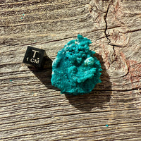Chrysocolla - Raw Mineral Specimen