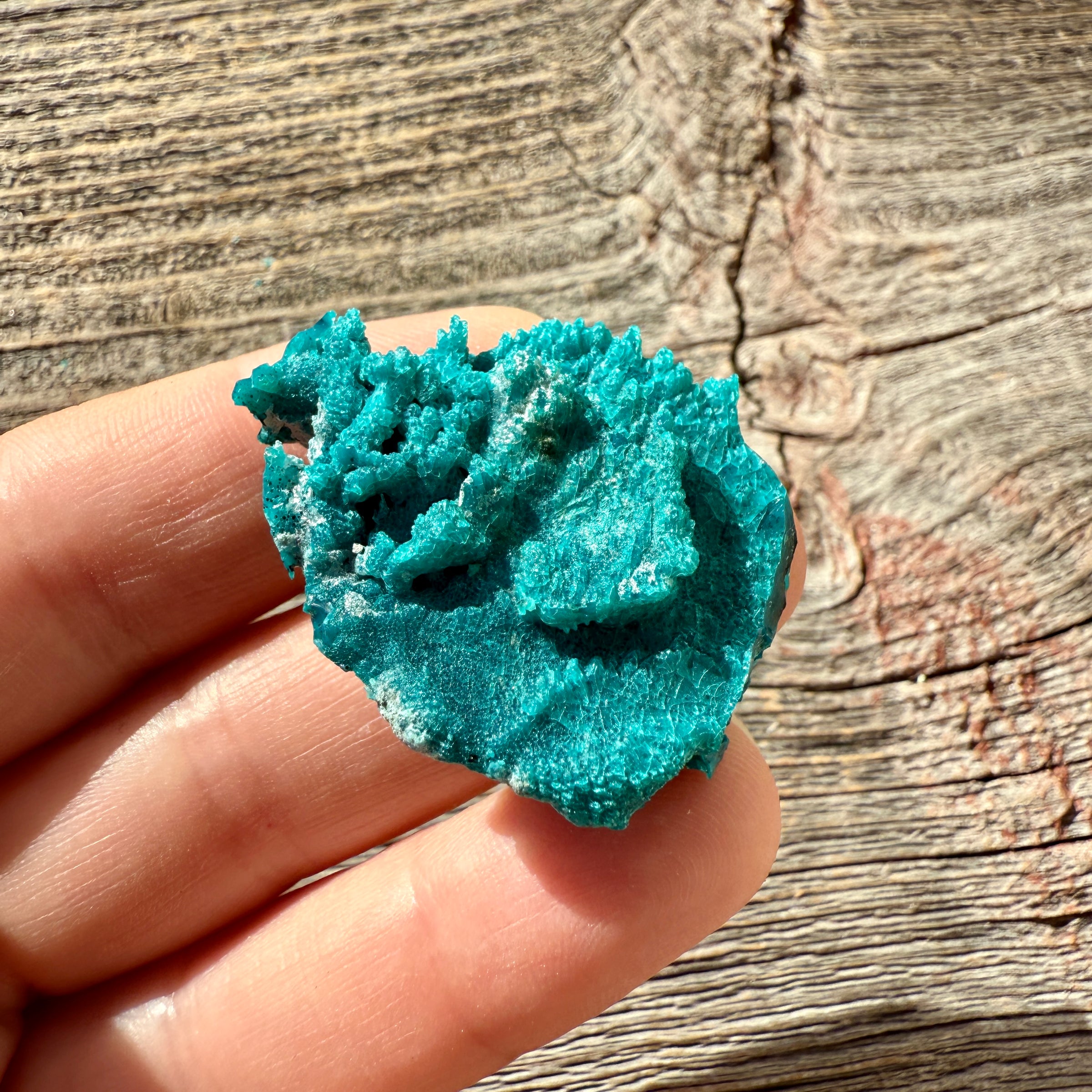Chrysocolla - Raw Mineral Specimen
