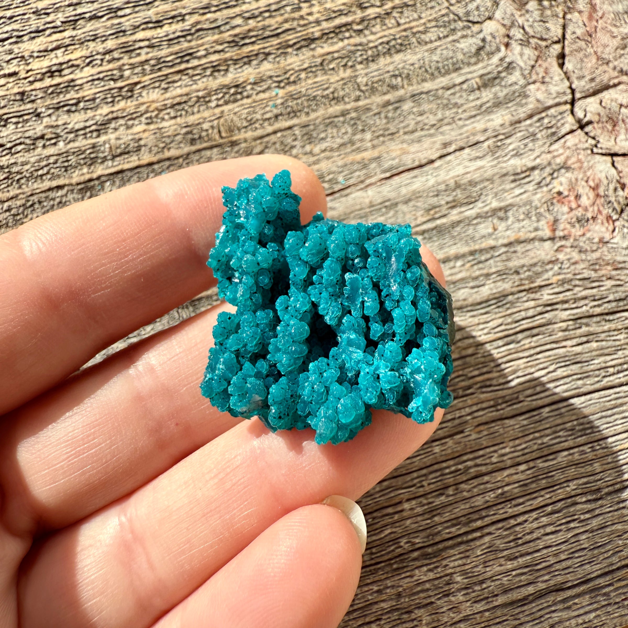 Chrysocolla - Raw Mineral Specimen