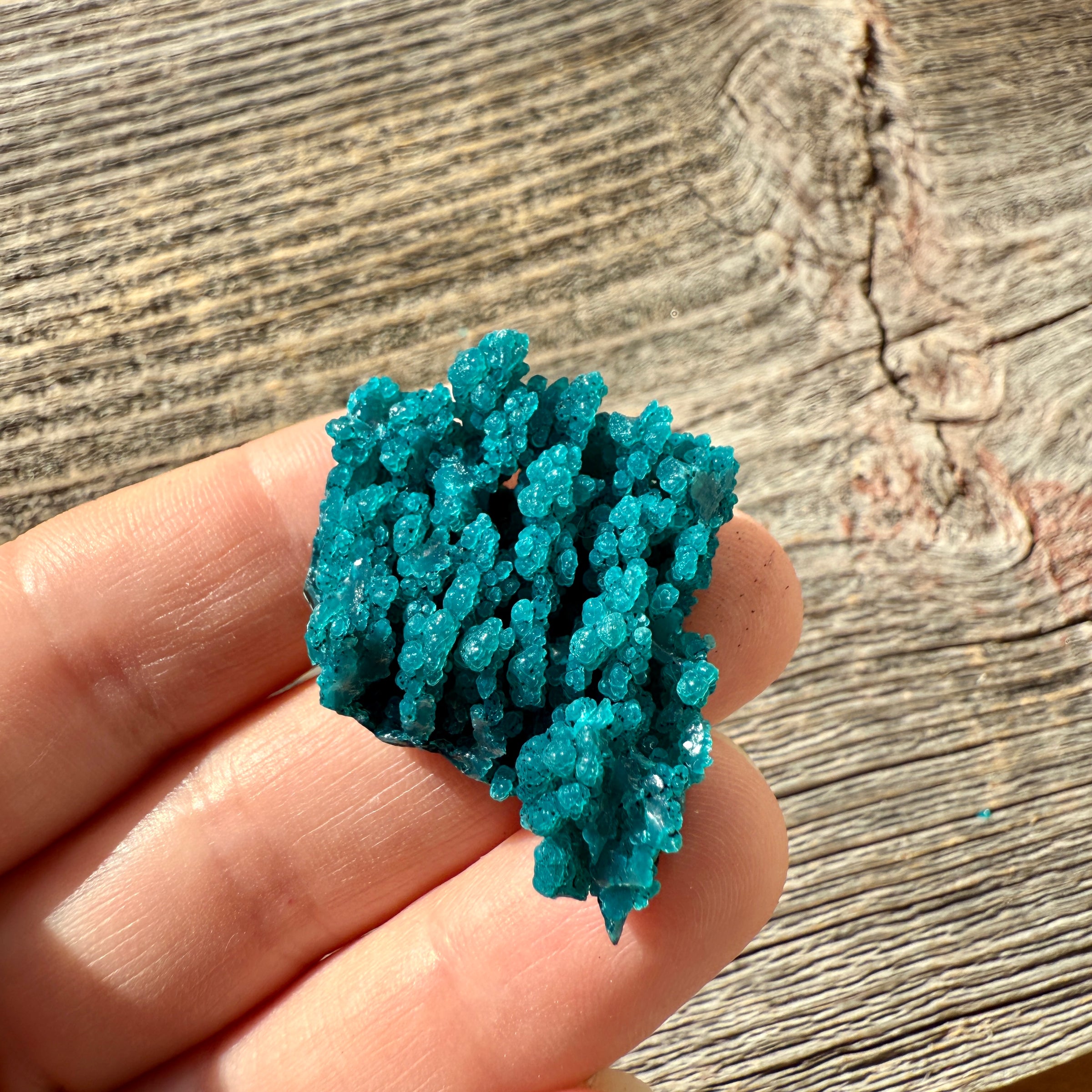 Chrysocolla - Raw Mineral Specimen