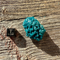 Chrysocolla - Raw Mineral Specimen