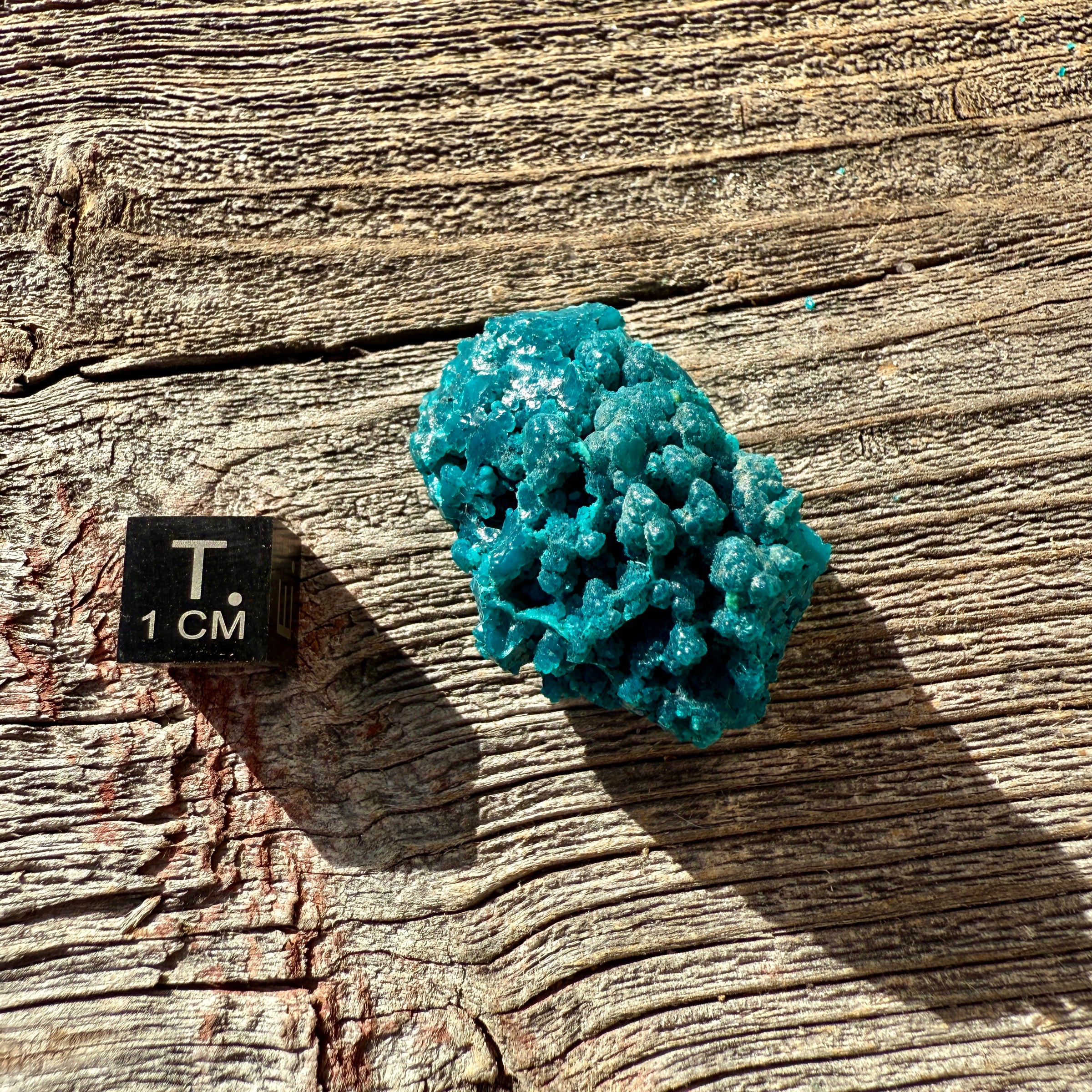 Chrysocolla - Raw Mineral Specimen