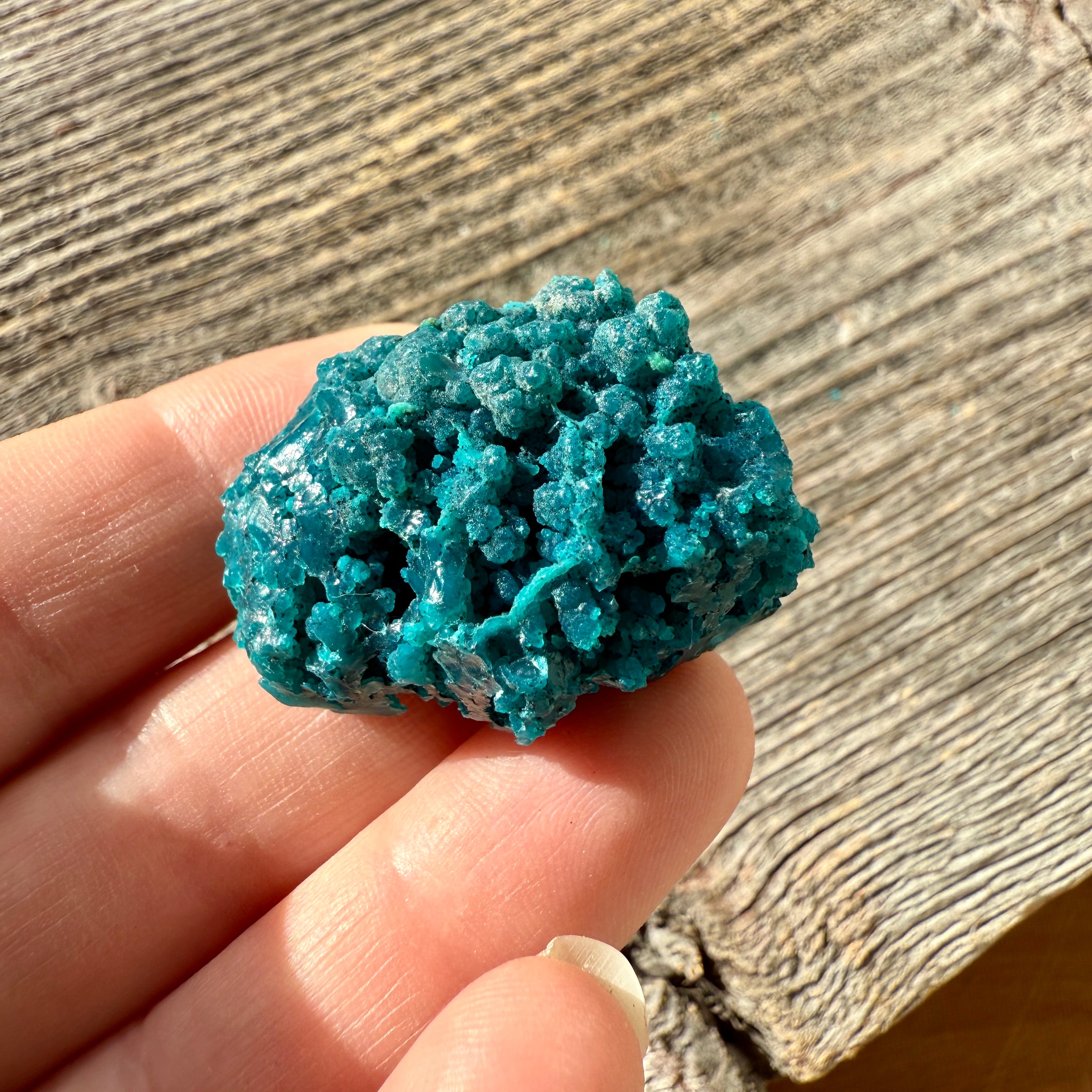 Chrysocolla - Raw Mineral Specimen