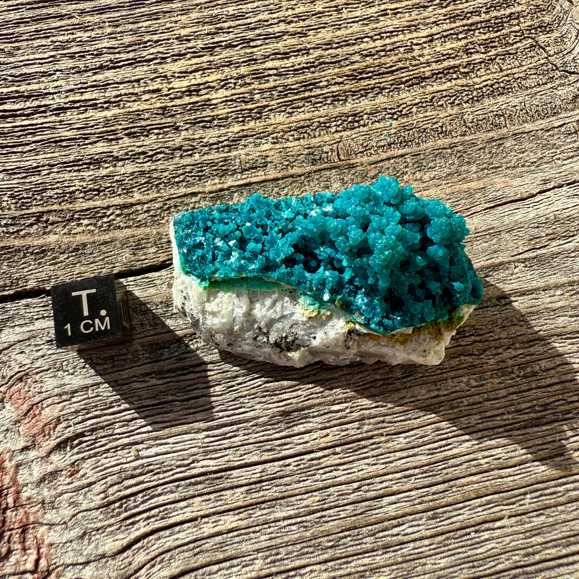 Chrysocolla - Raw Mineral Specimen
