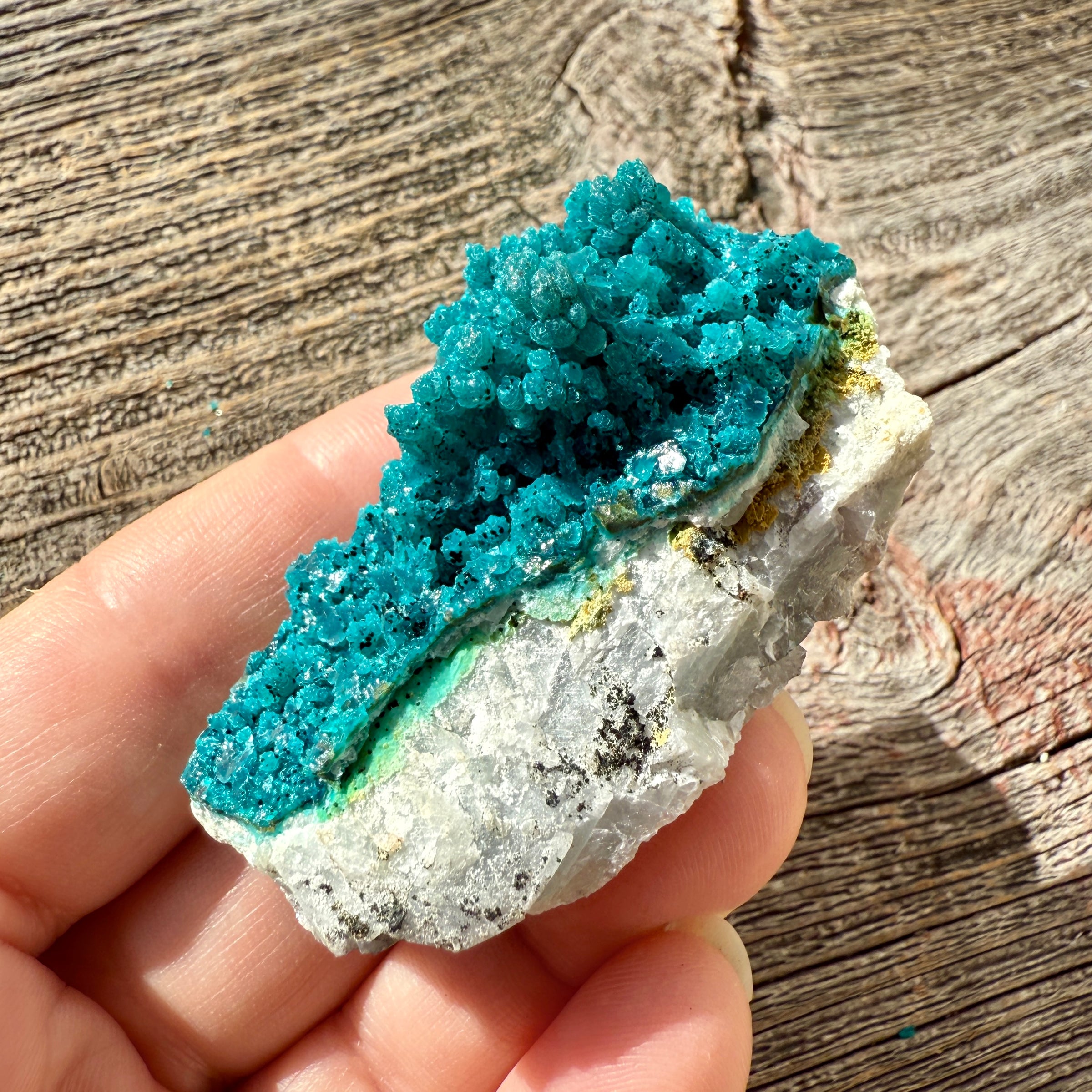 Chrysocolla - Raw Mineral Specimen