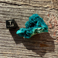 Chrysocolla - Raw Mineral Specimen