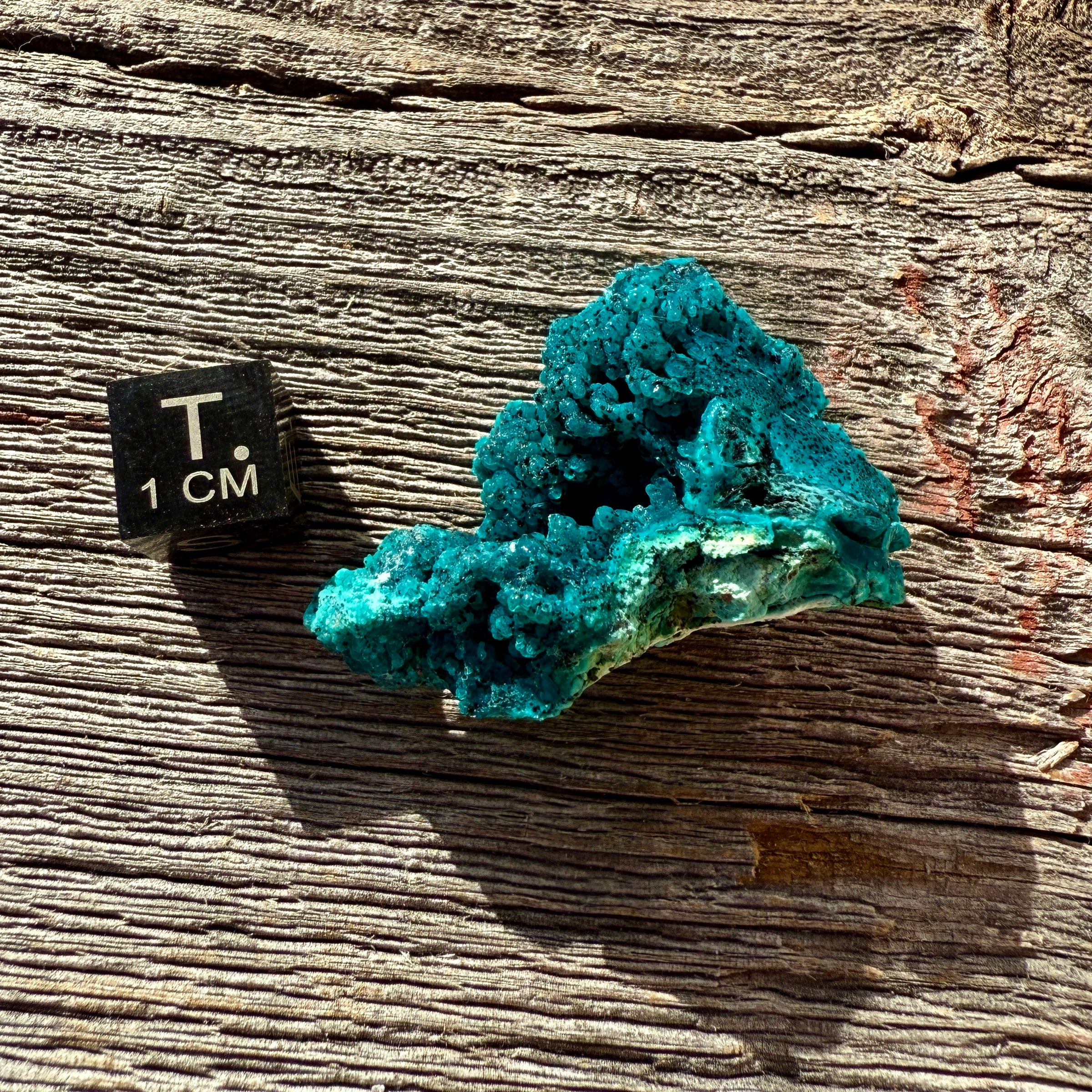Chrysocolla - Raw Mineral Specimen