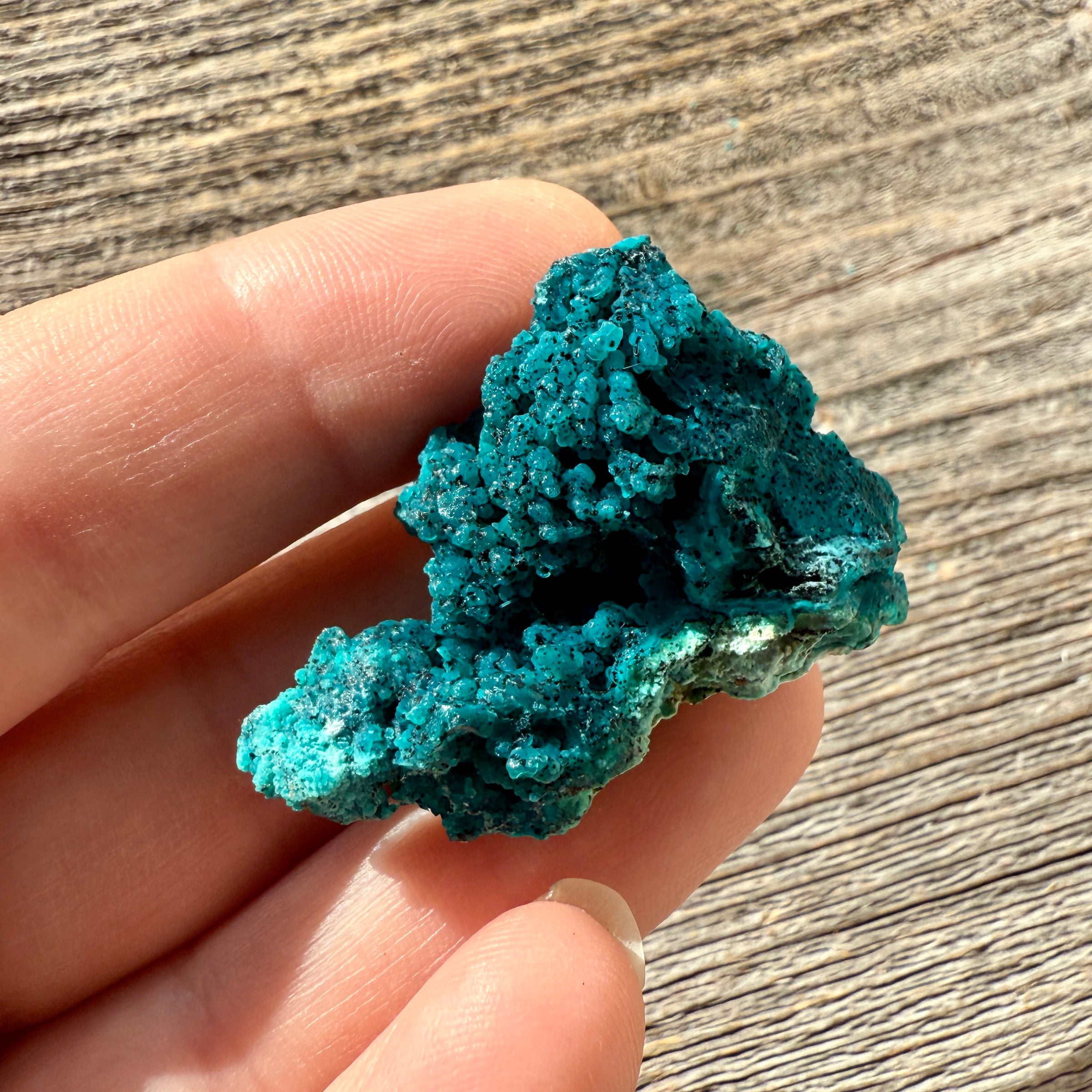 Chrysocolla - Raw Mineral Specimen