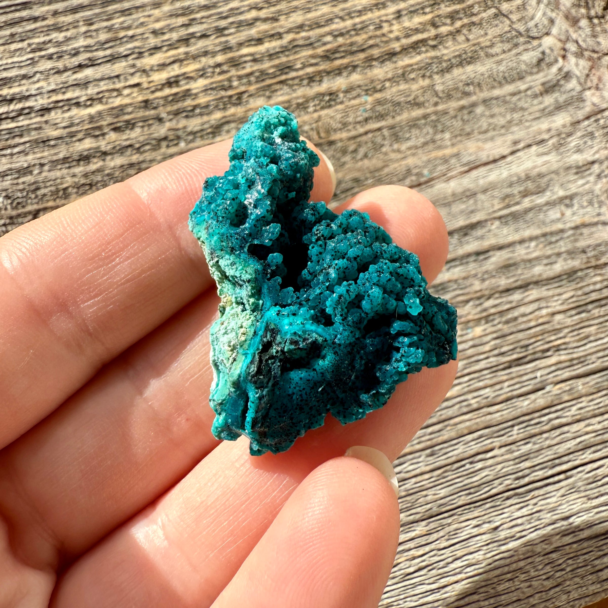 Chrysocolla - Raw Mineral Specimen