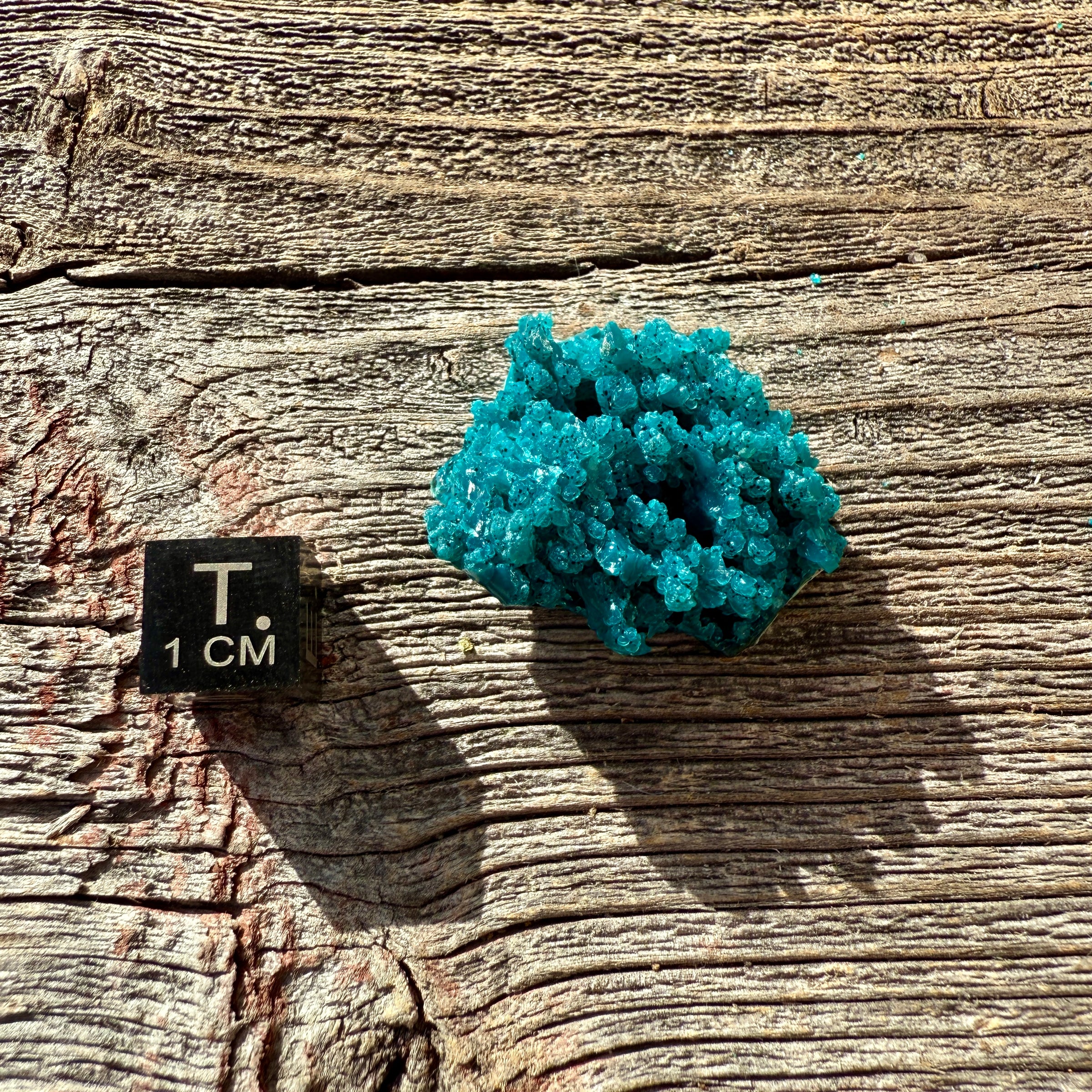 Chrysocolla - Raw Mineral Specimen