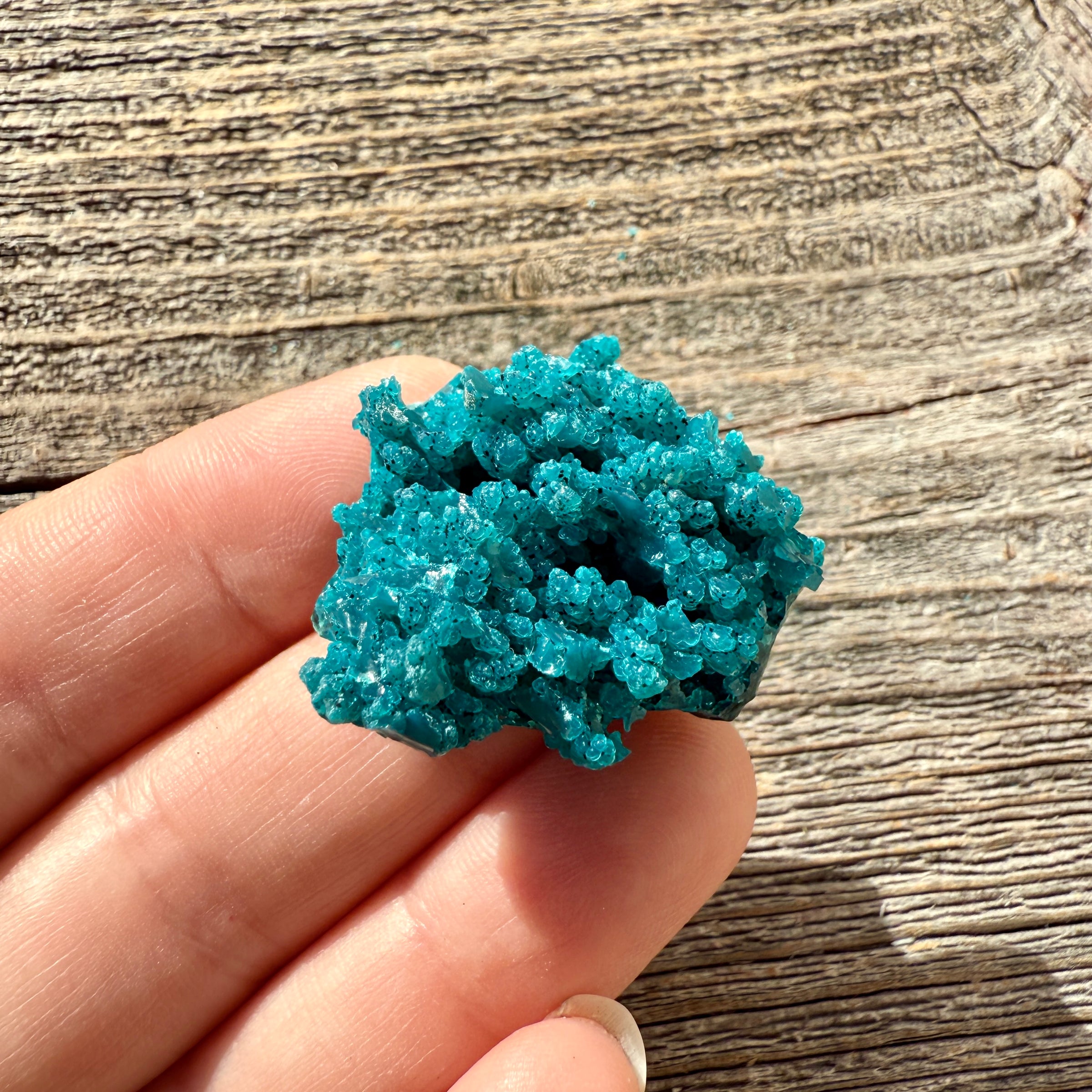Chrysocolla - Raw Mineral Specimen
