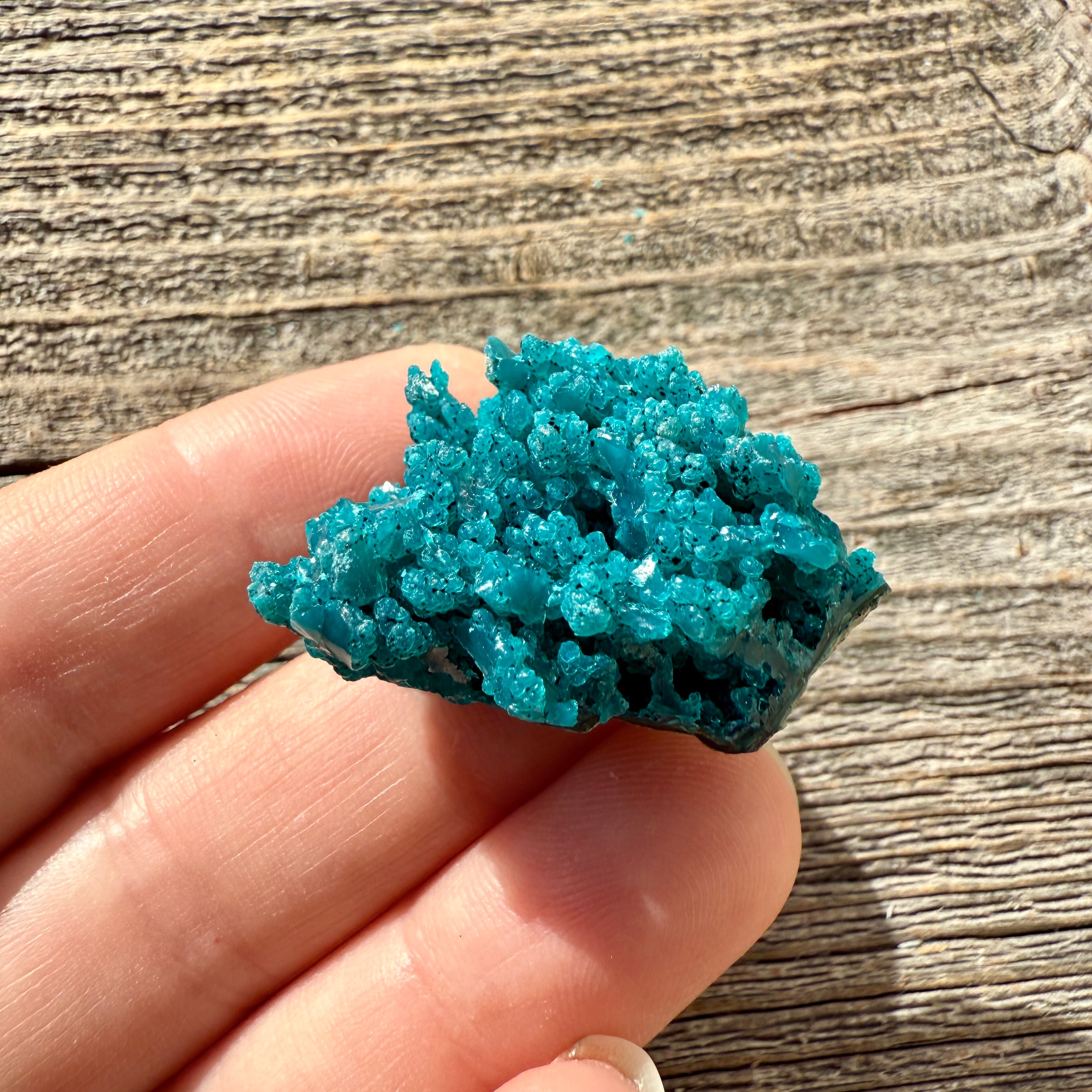 Chrysocolla - Raw Mineral Specimen