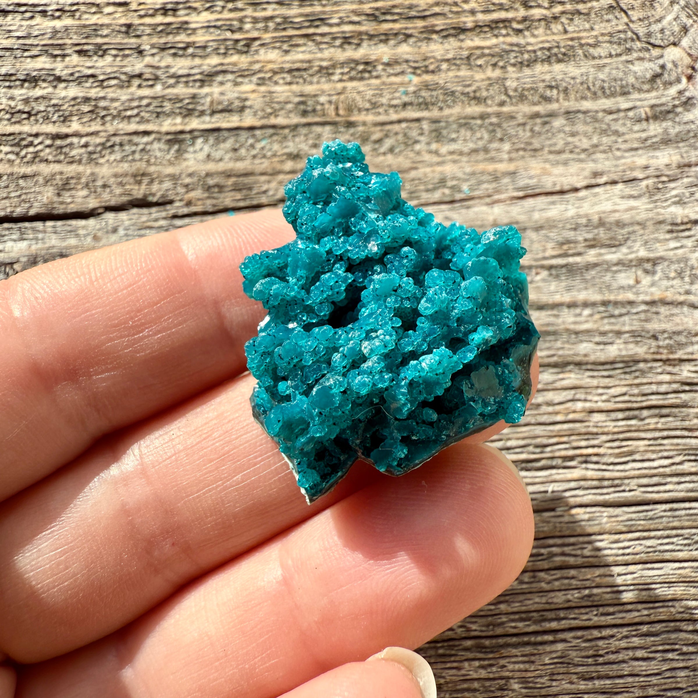 Chrysocolla - Raw Mineral Specimen