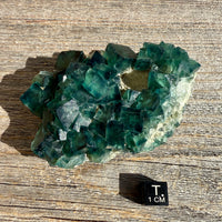 Fluorite Crystal Cluster