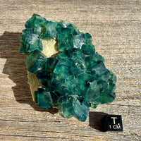 Fluorite Crystal Cluster