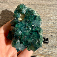 Fluorite Crystal Cluster
