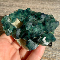 Fluorite Crystal Cluster