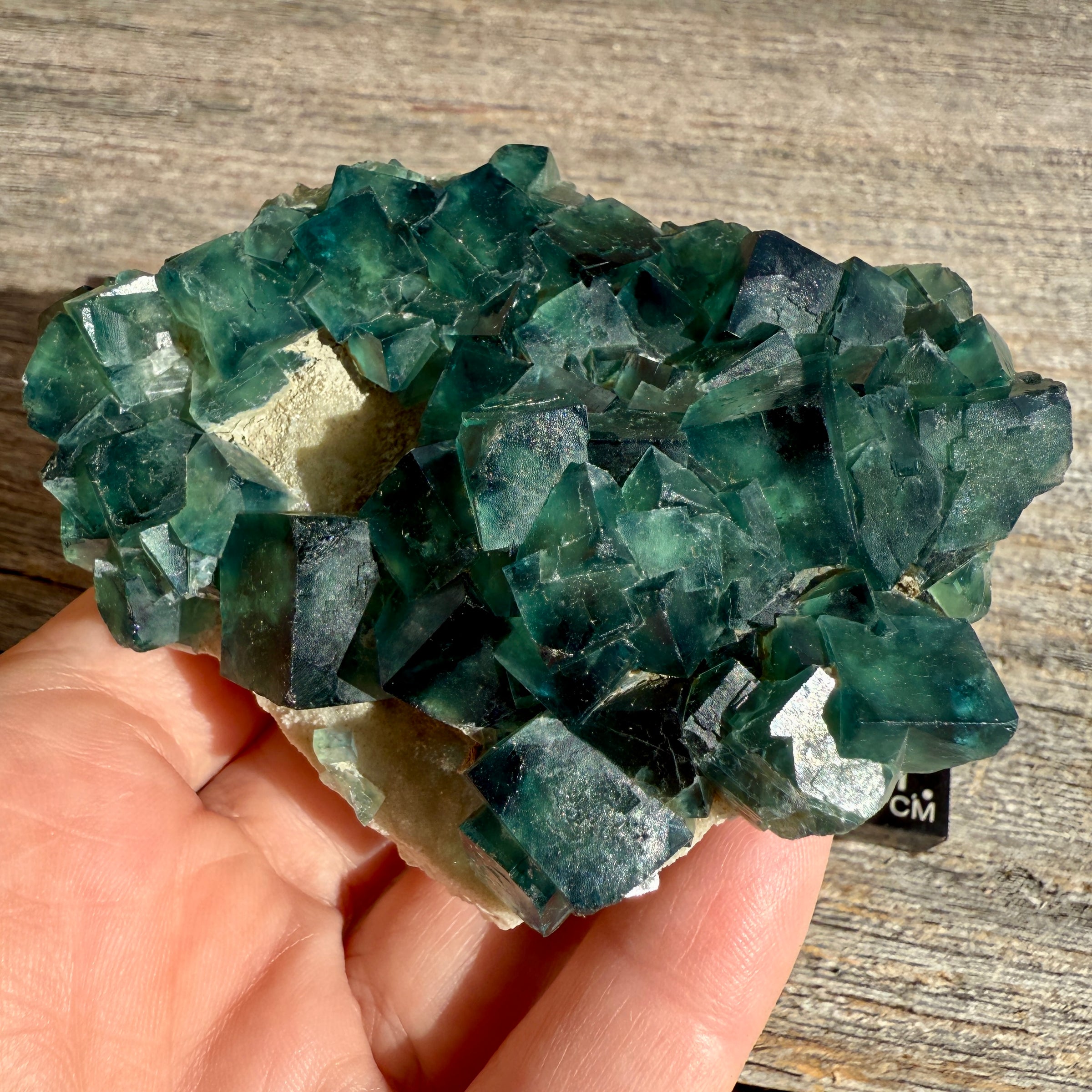 Fluorite Crystal Cluster
