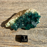 Fluorite Crystal Cluster