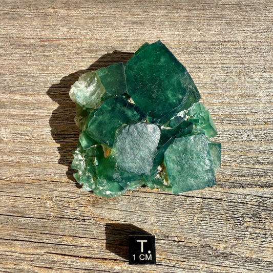 Fluorite Crystal Cluster