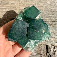 Fluorite Crystal Cluster