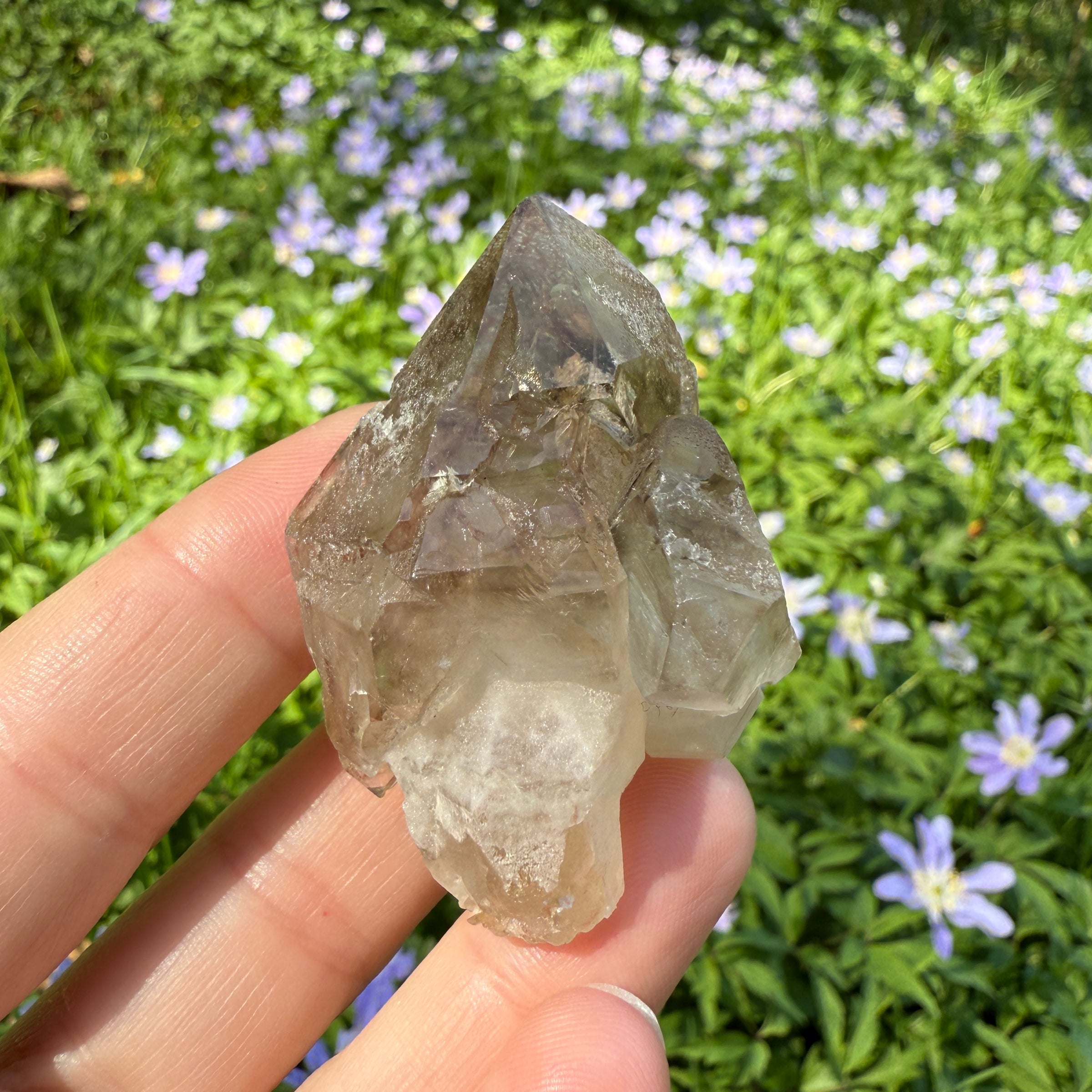 Elestial Smoky Quartz Crystal