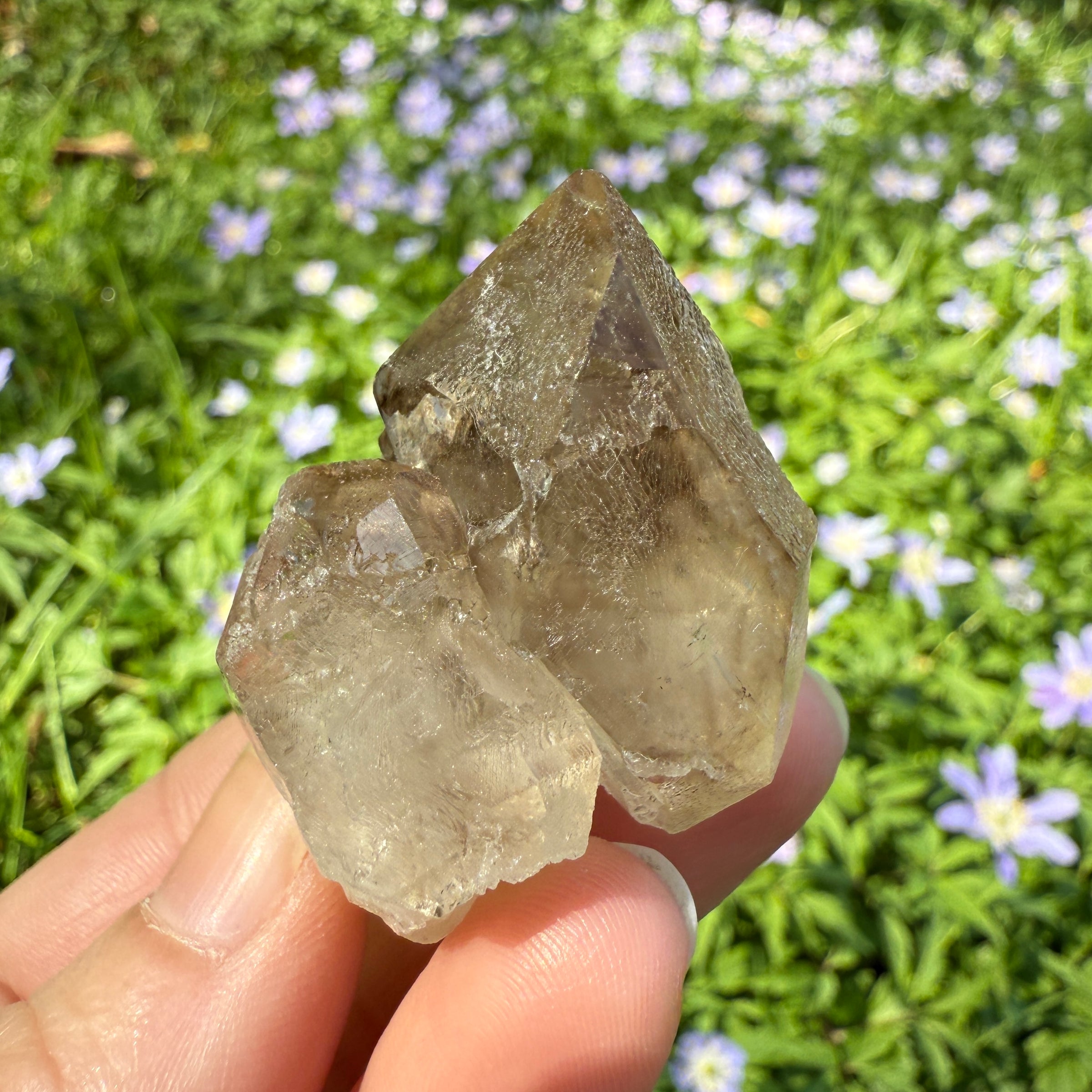 Elestial Smoky Quartz Crystal