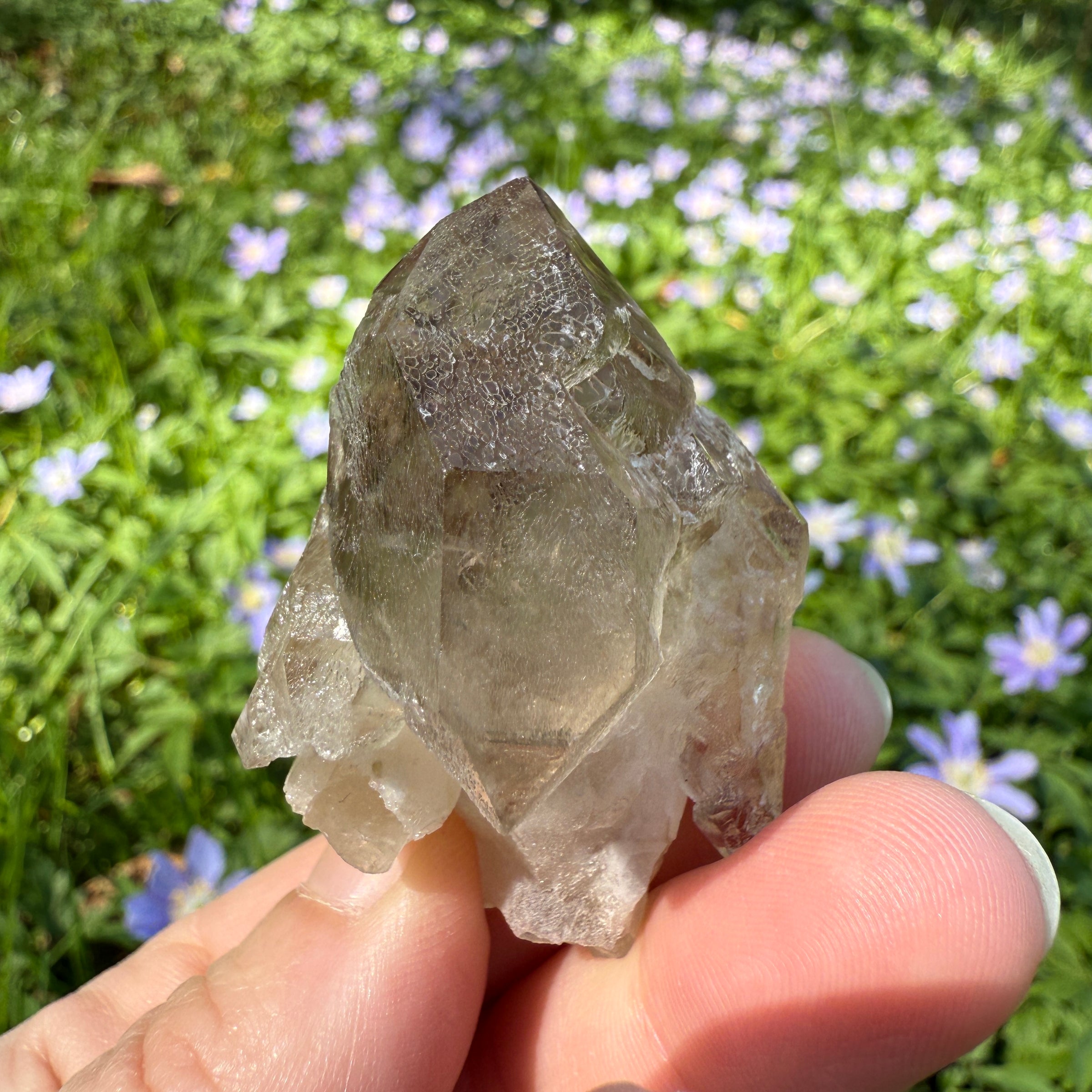 Elestial Smoky Quartz Crystal