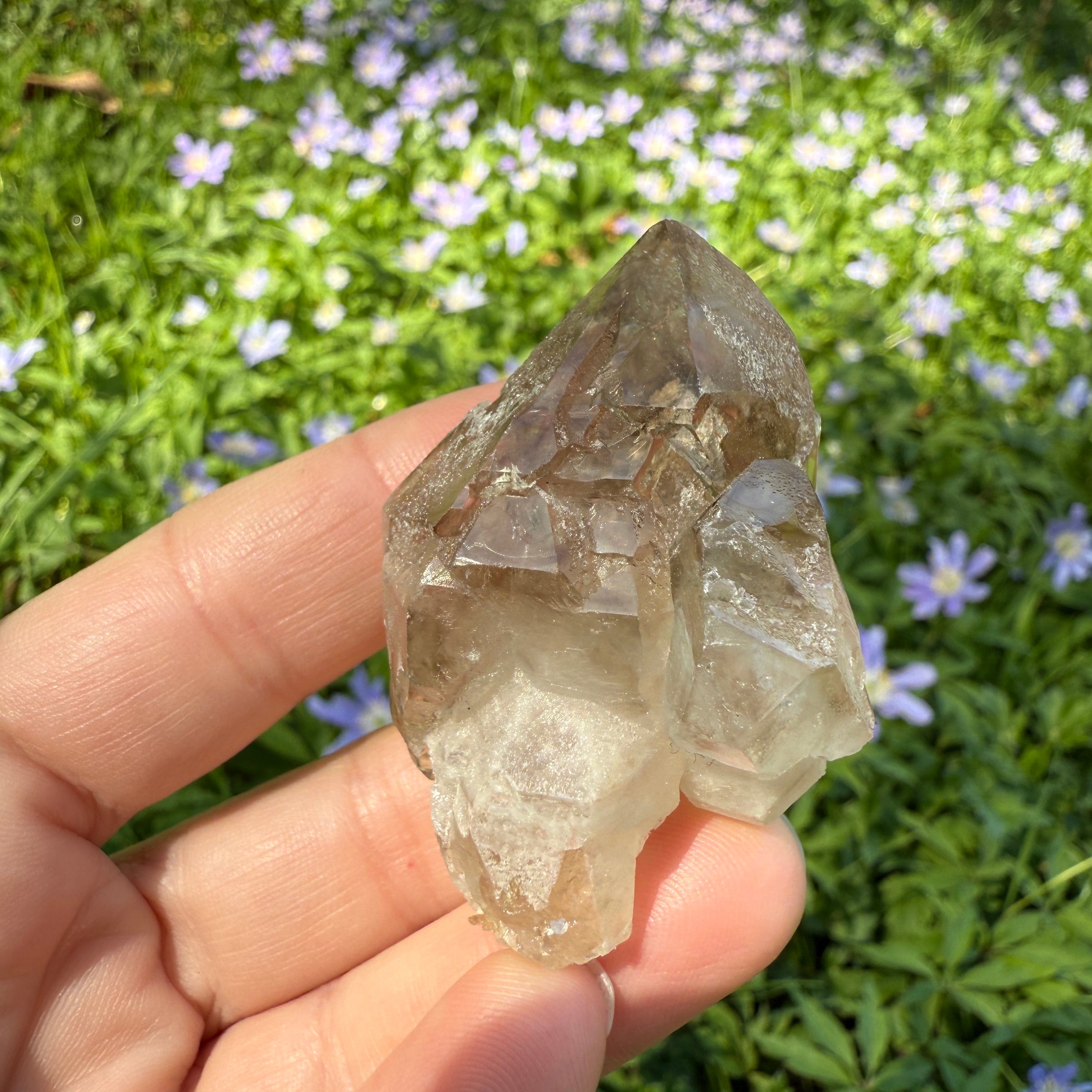 Elestial Smoky Quartz Crystal