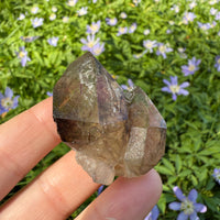 Elestial Smoky Quartz Crystal