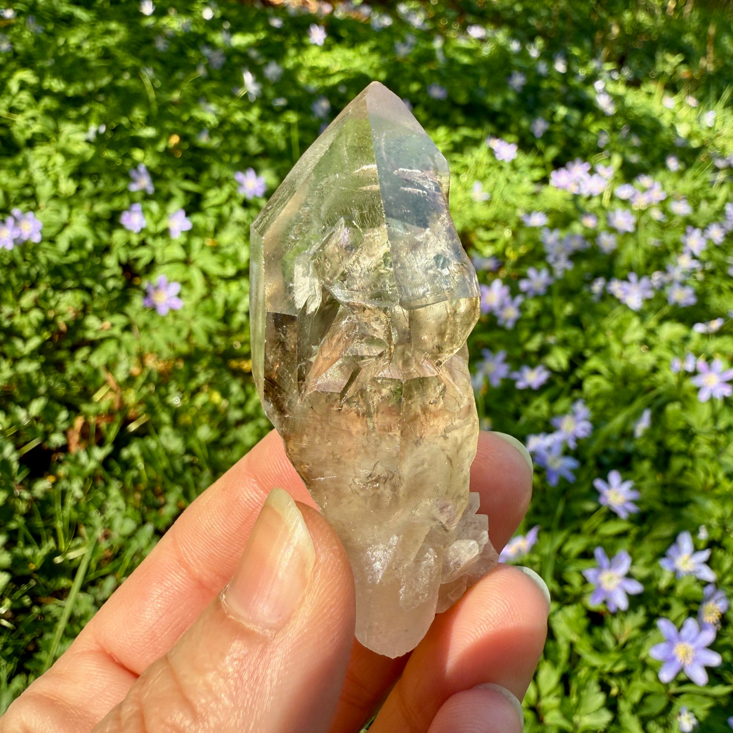 Elestial Smoky Quartz Crystal