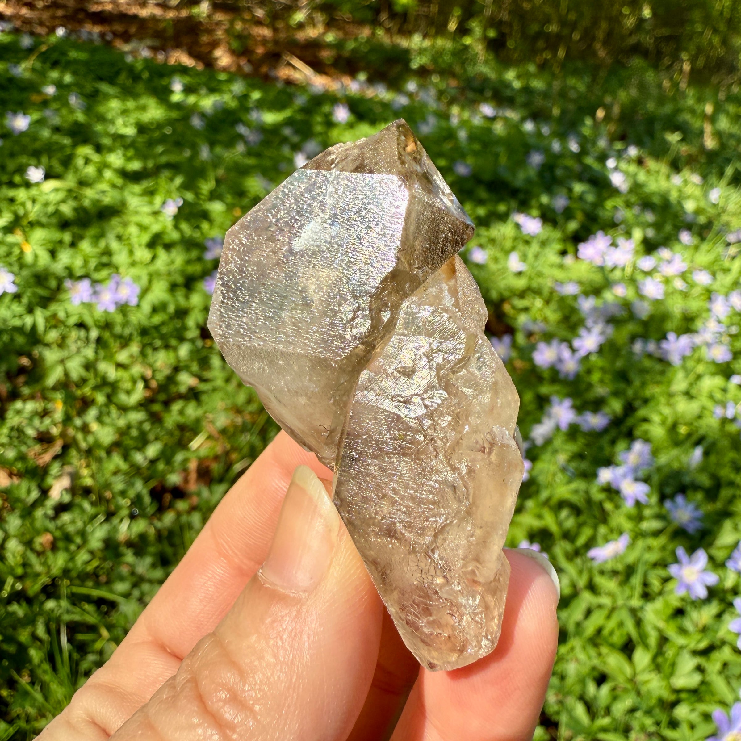 Elestial Smoky Quartz Crystal