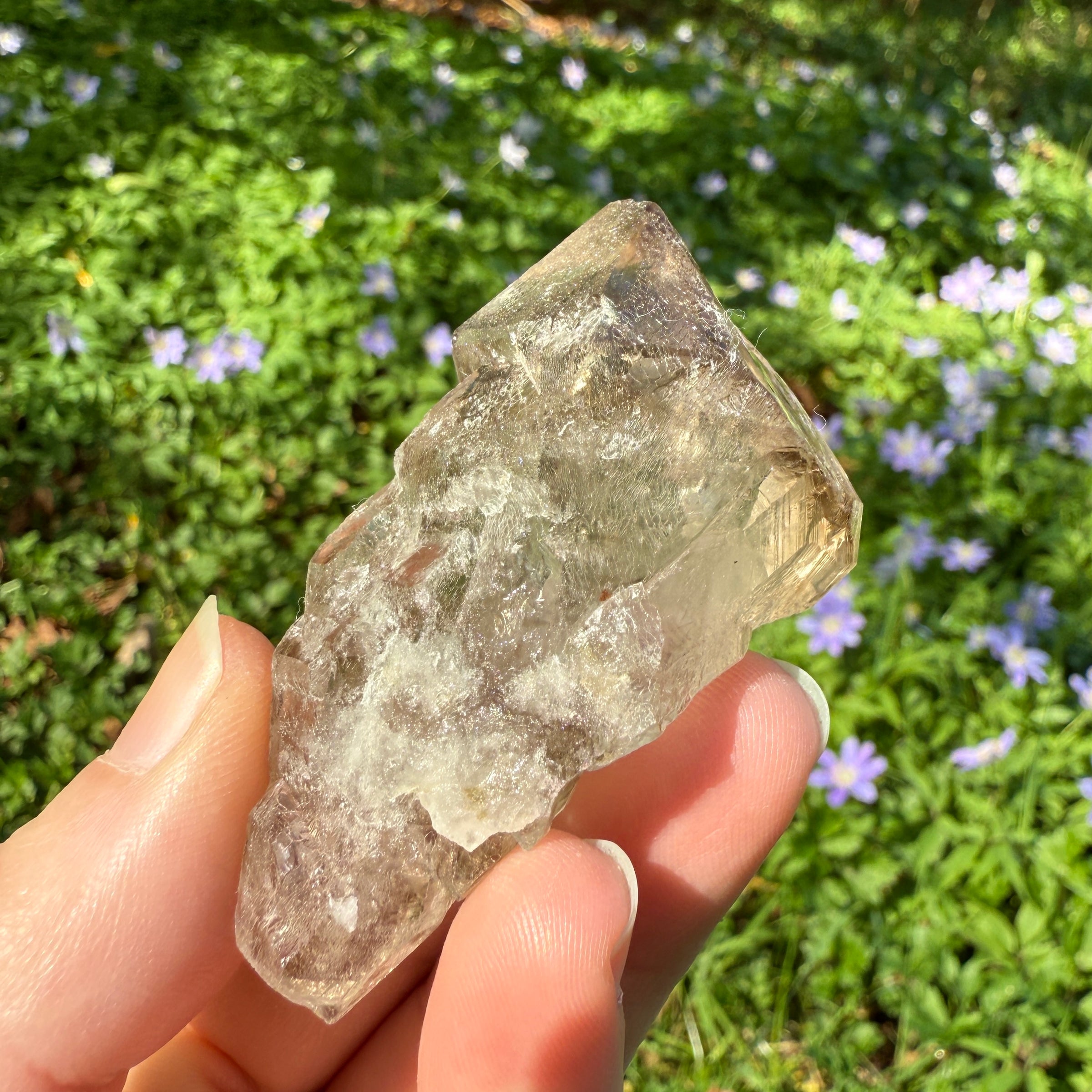 Elestial Smoky Quartz Crystal