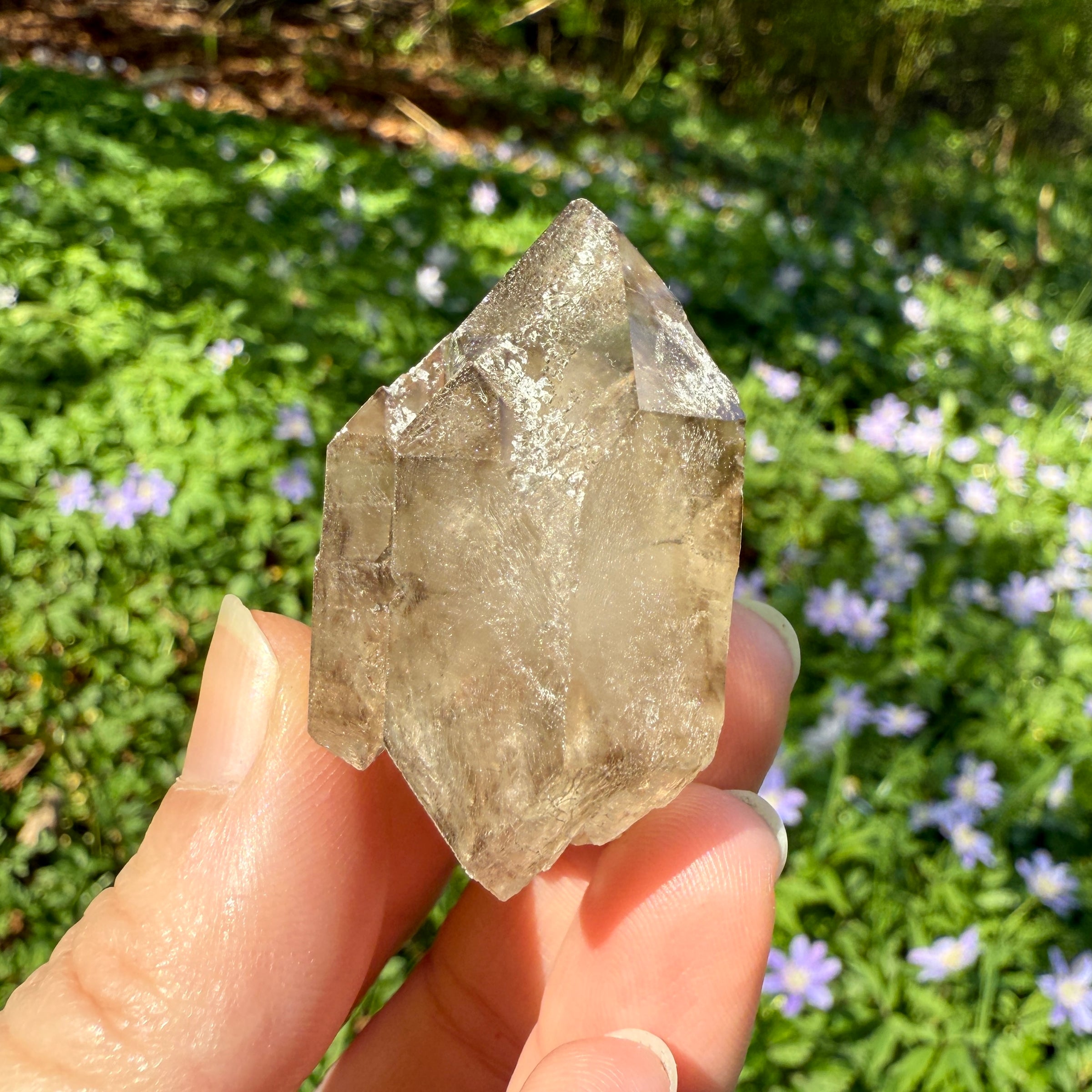 Elestial Smoky Quartz Crystal