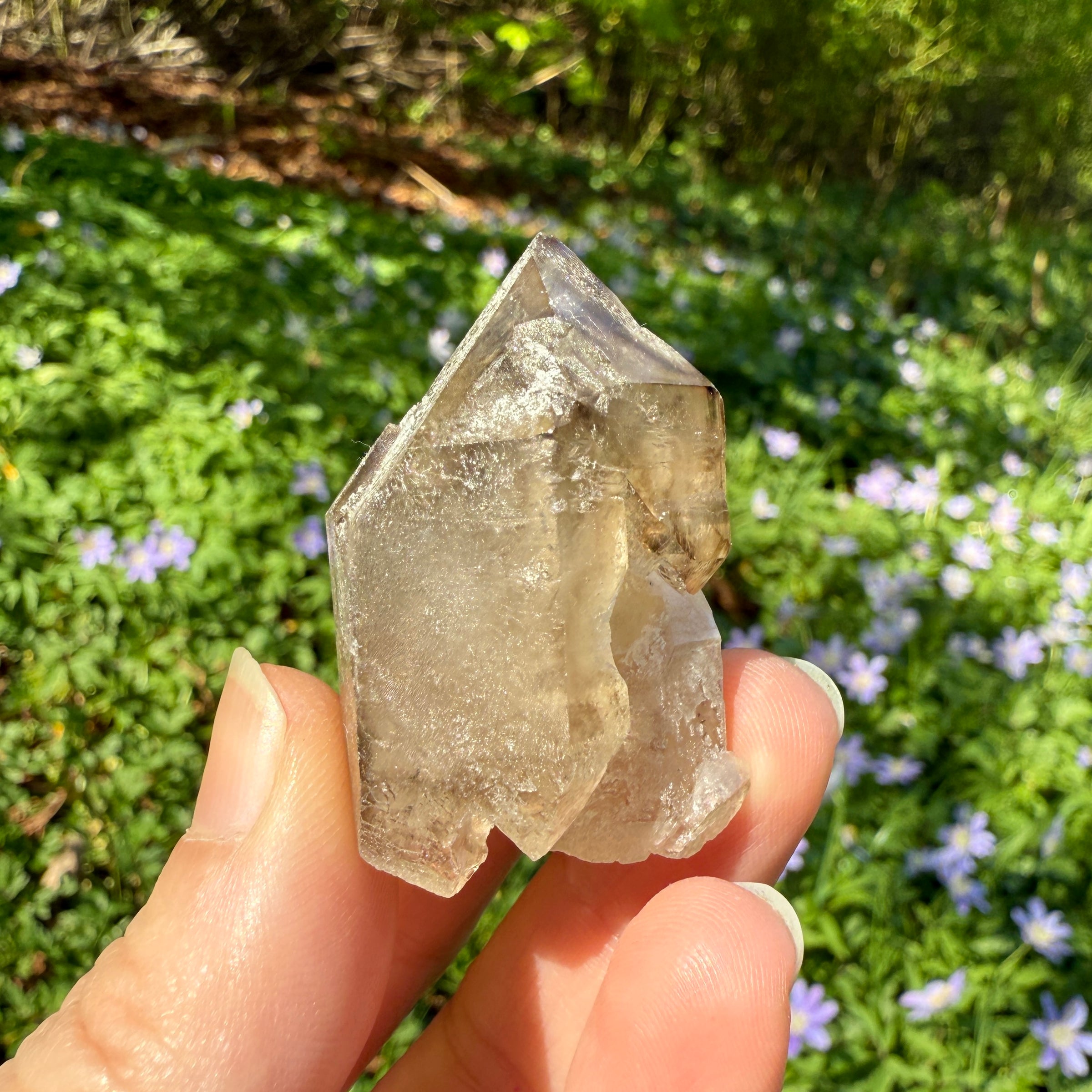 Elestial Smoky Quartz Crystal