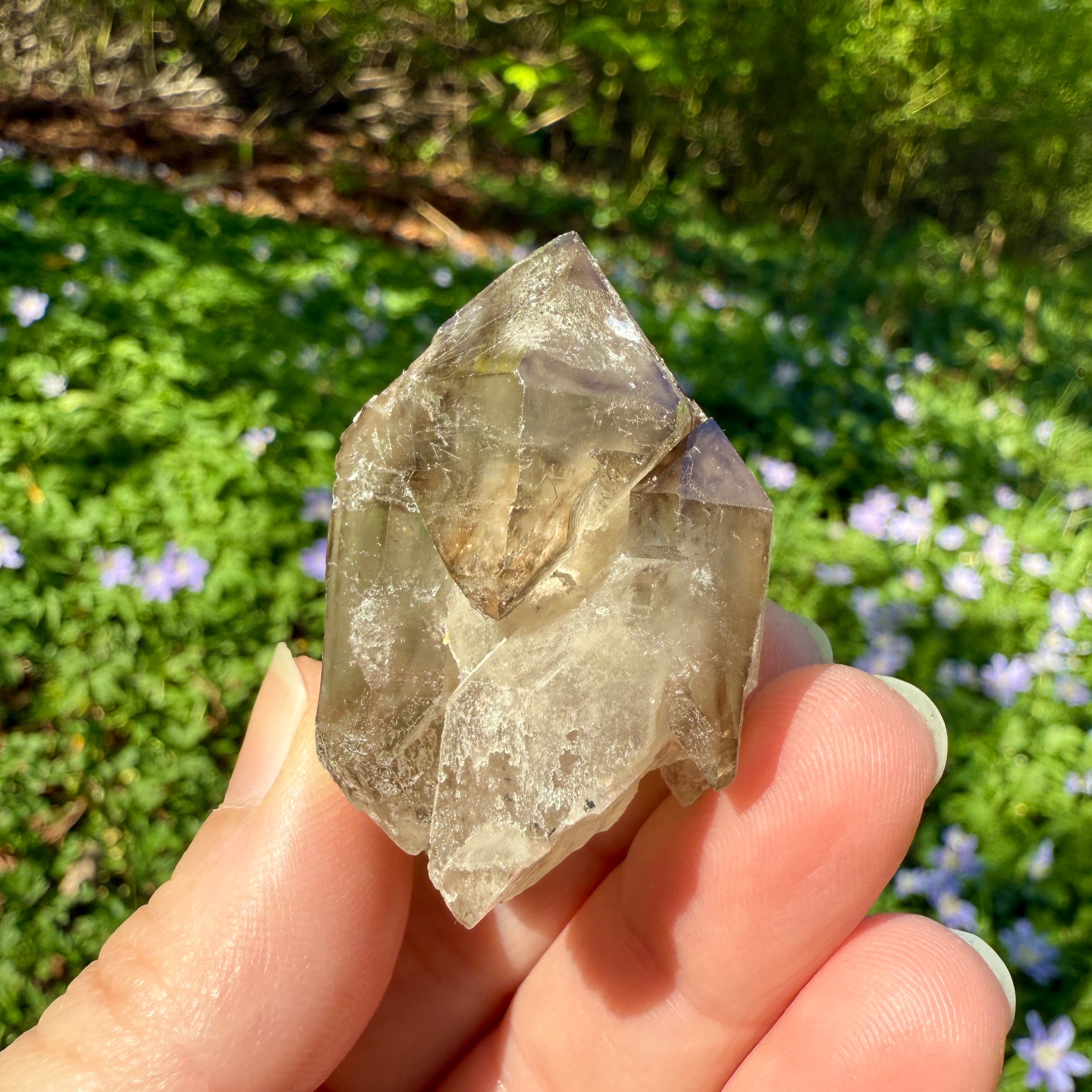 Elestial Smoky Quartz Crystal