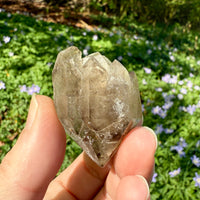 Elestial Smoky Quartz Crystal