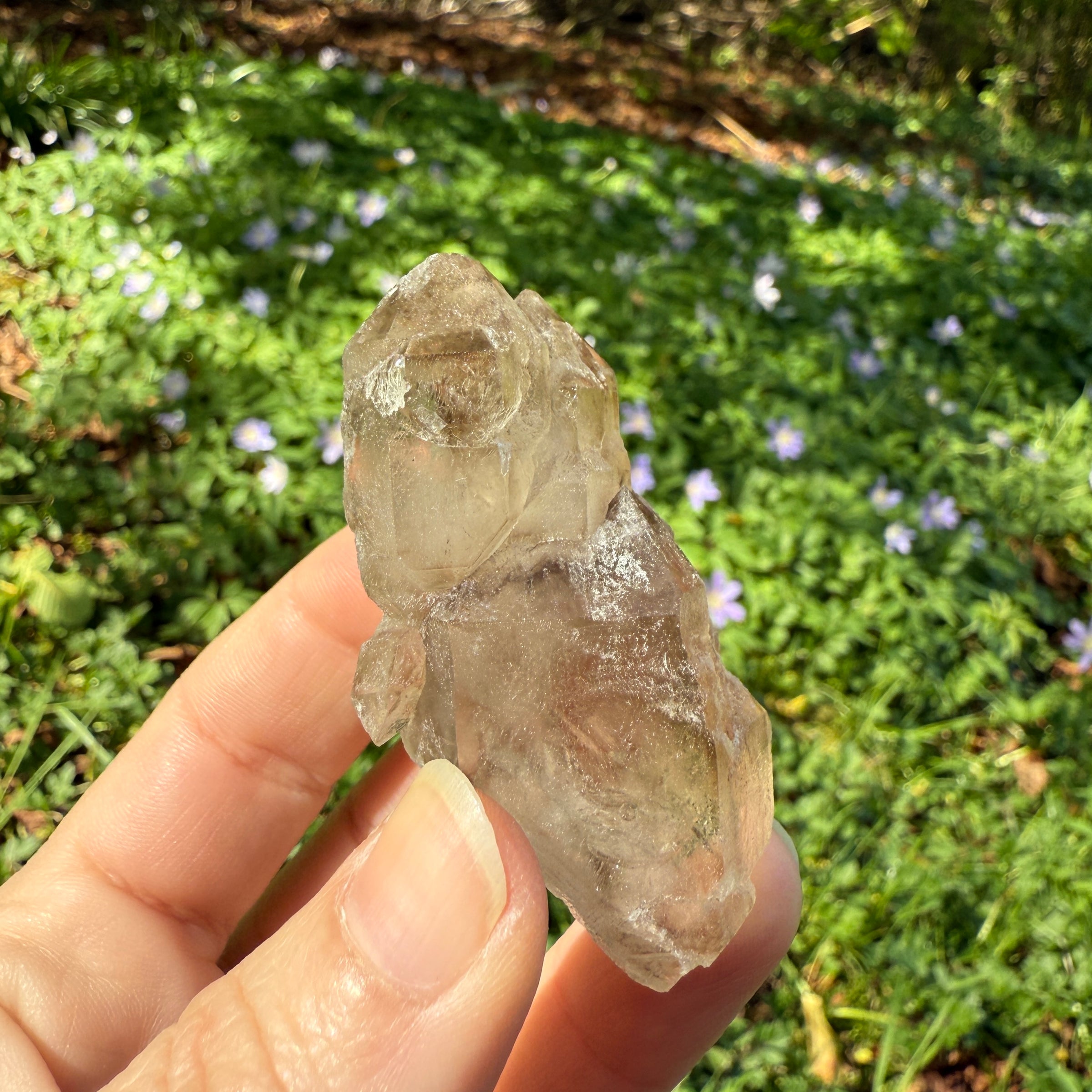 Elestial Smoky Quartz Crystal