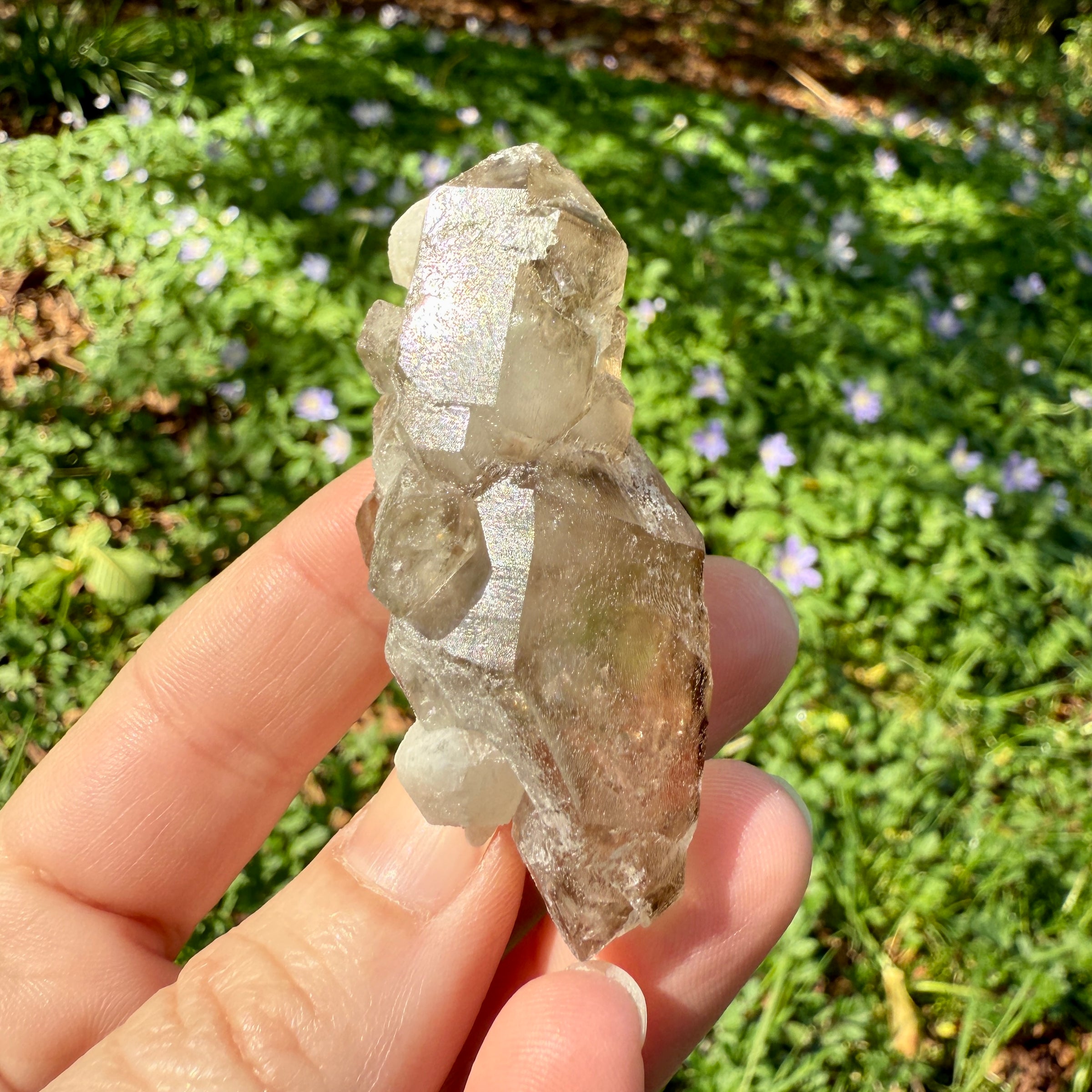 Elestial Smoky Quartz Crystal