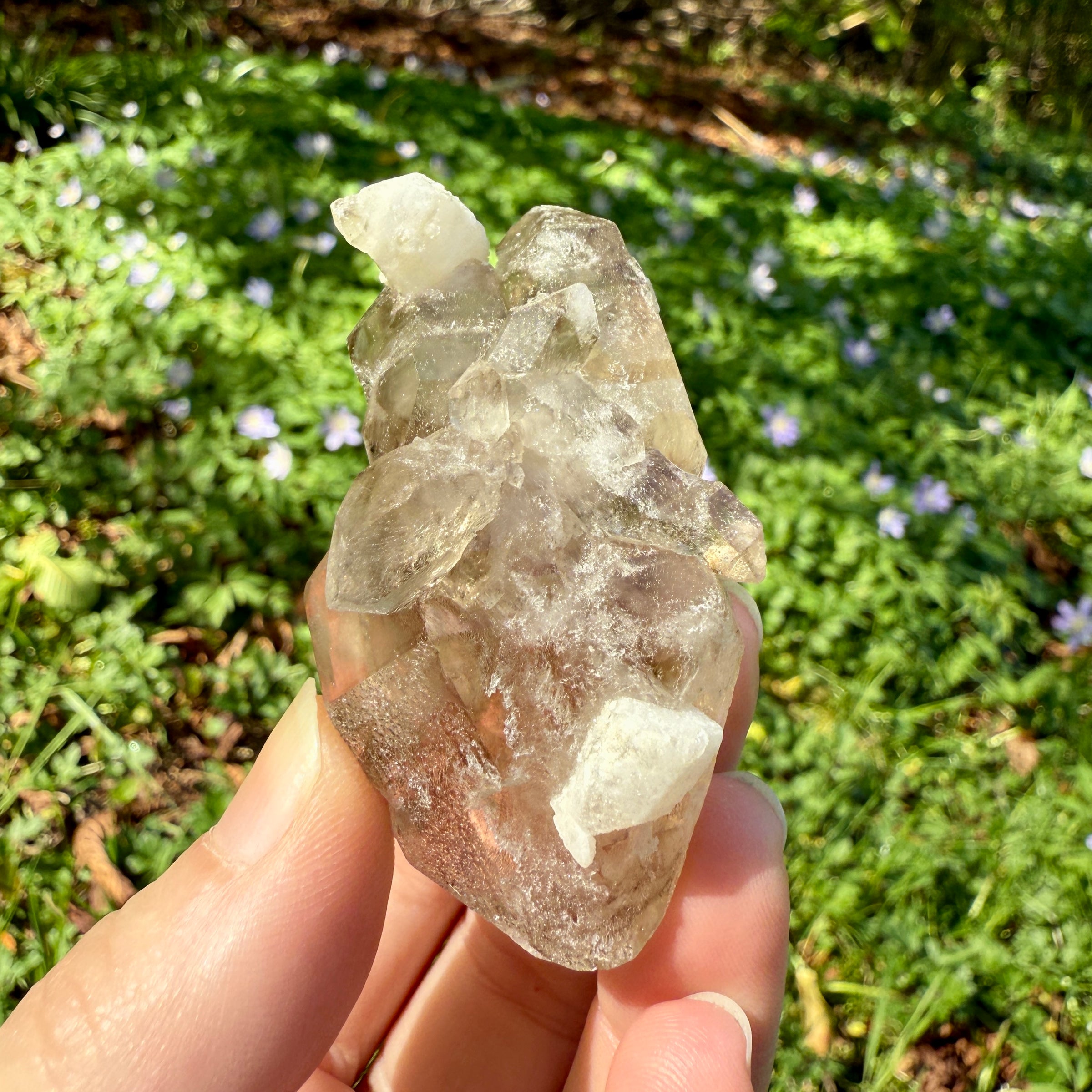 Elestial Smoky Quartz Crystal
