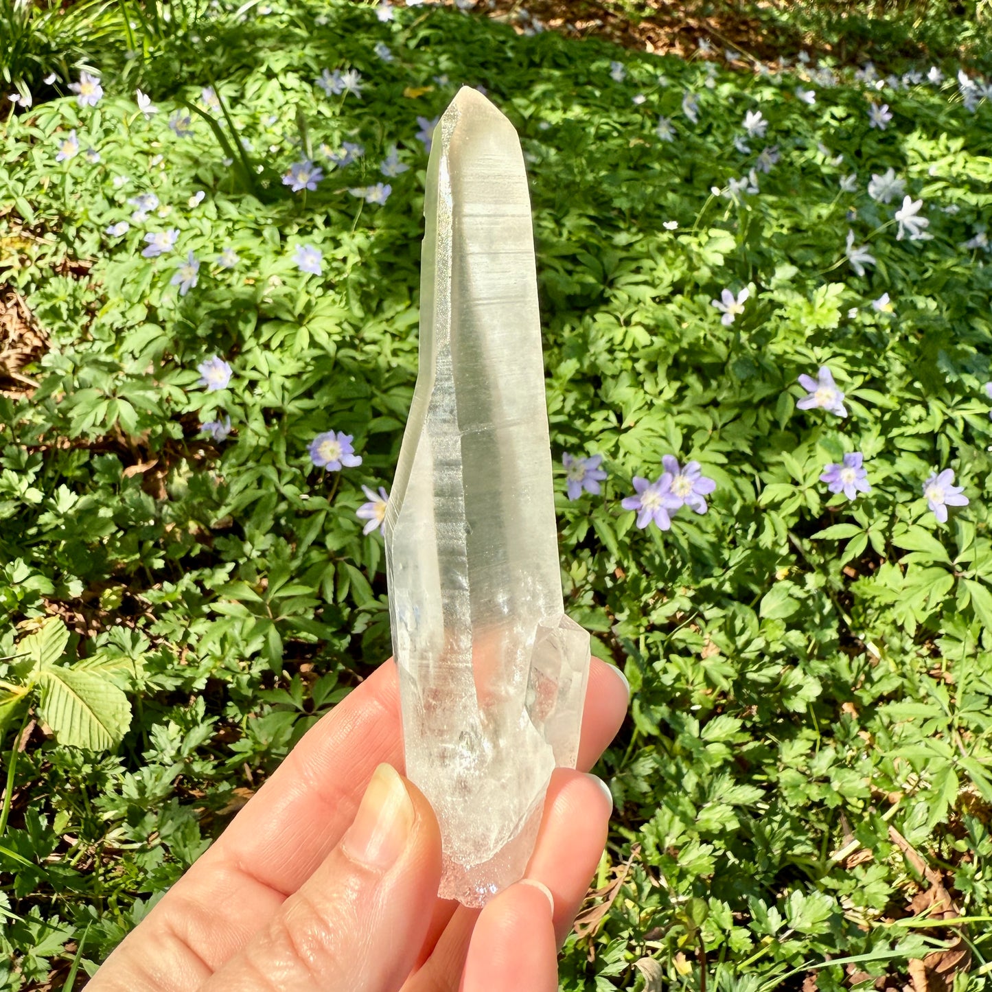 Lemurian Quartz Crystal