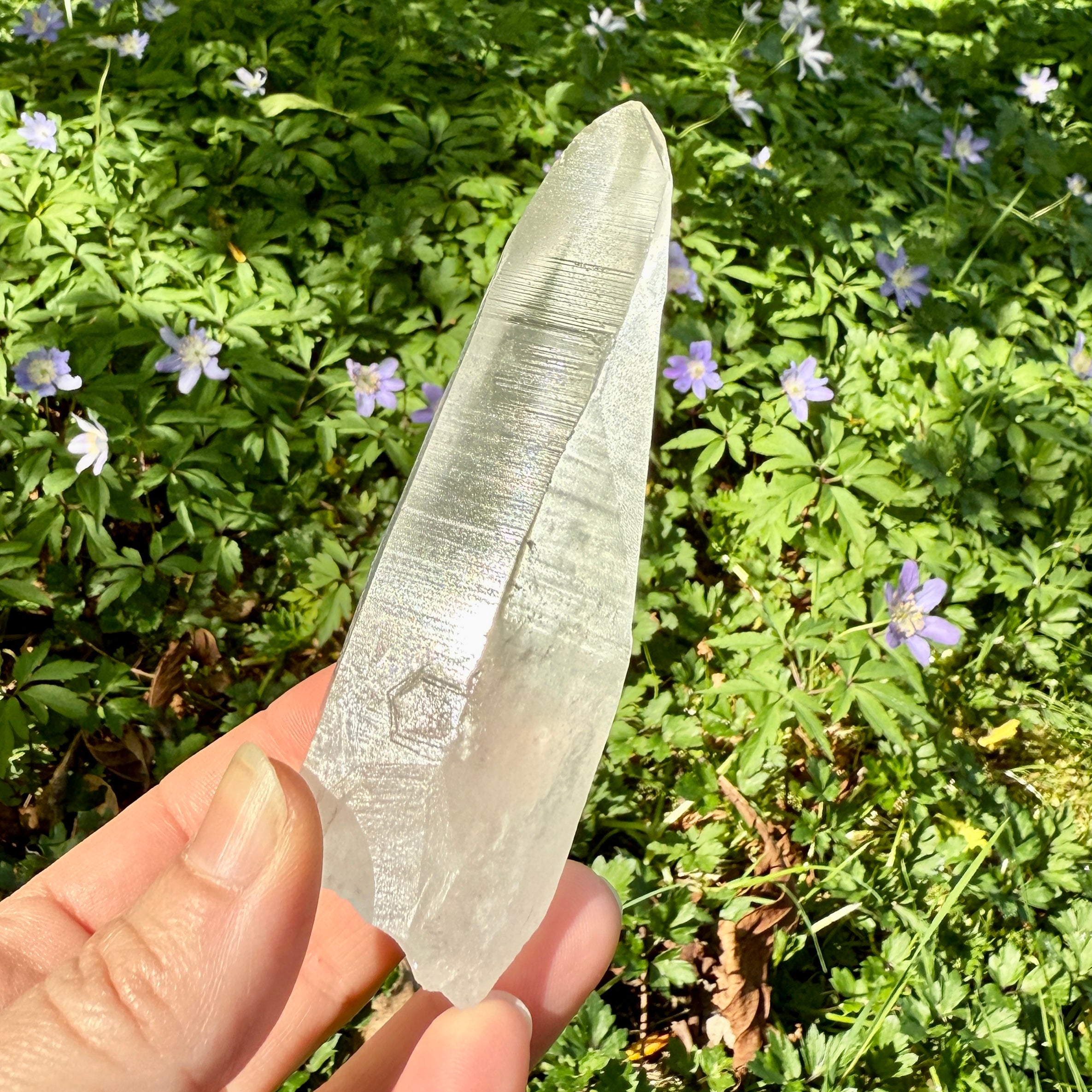 Lemurian Quartz Crystal