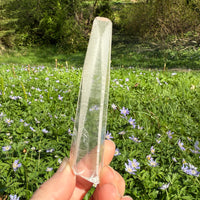 Lemurian Quartz Crystal