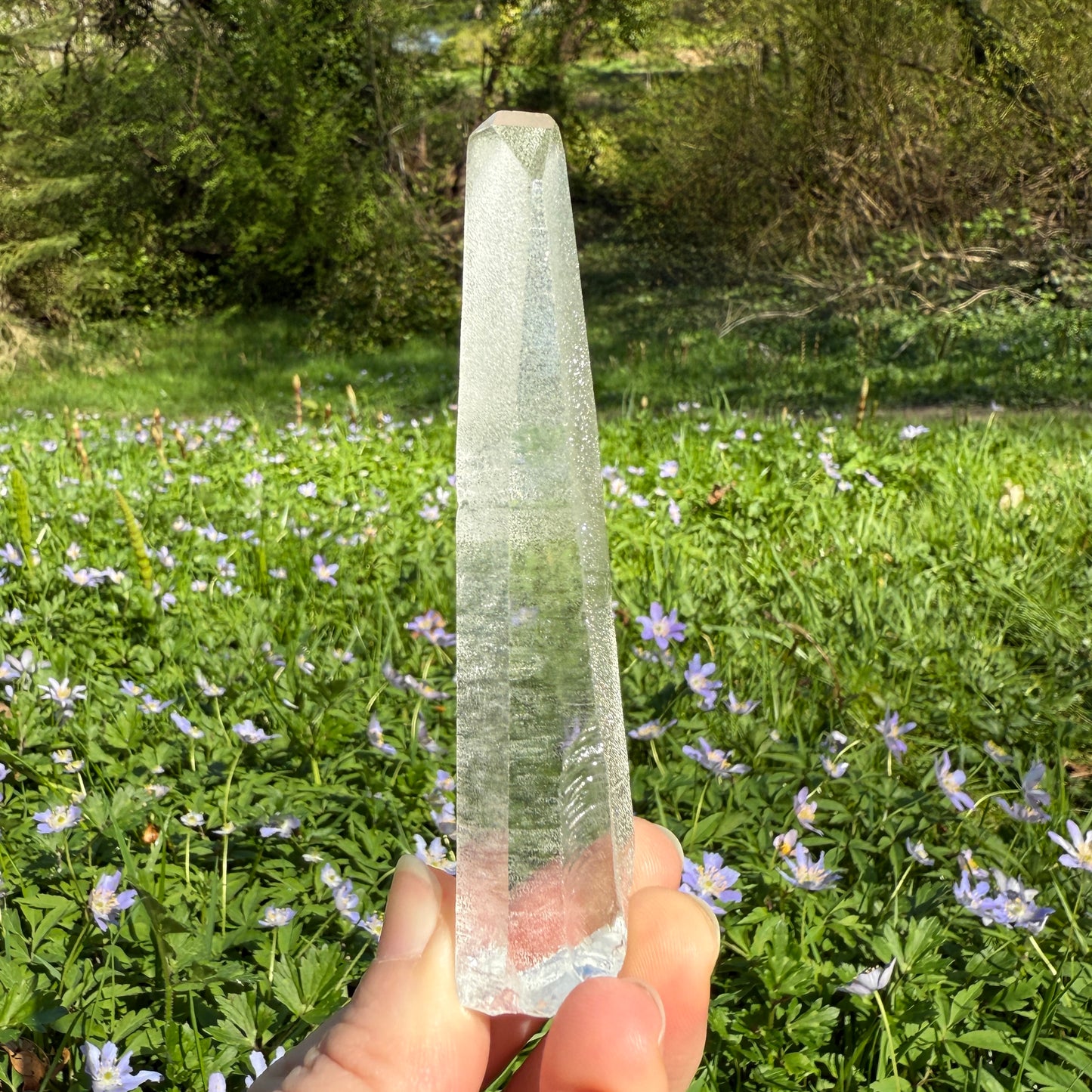 Lemurian Quartz Crystal