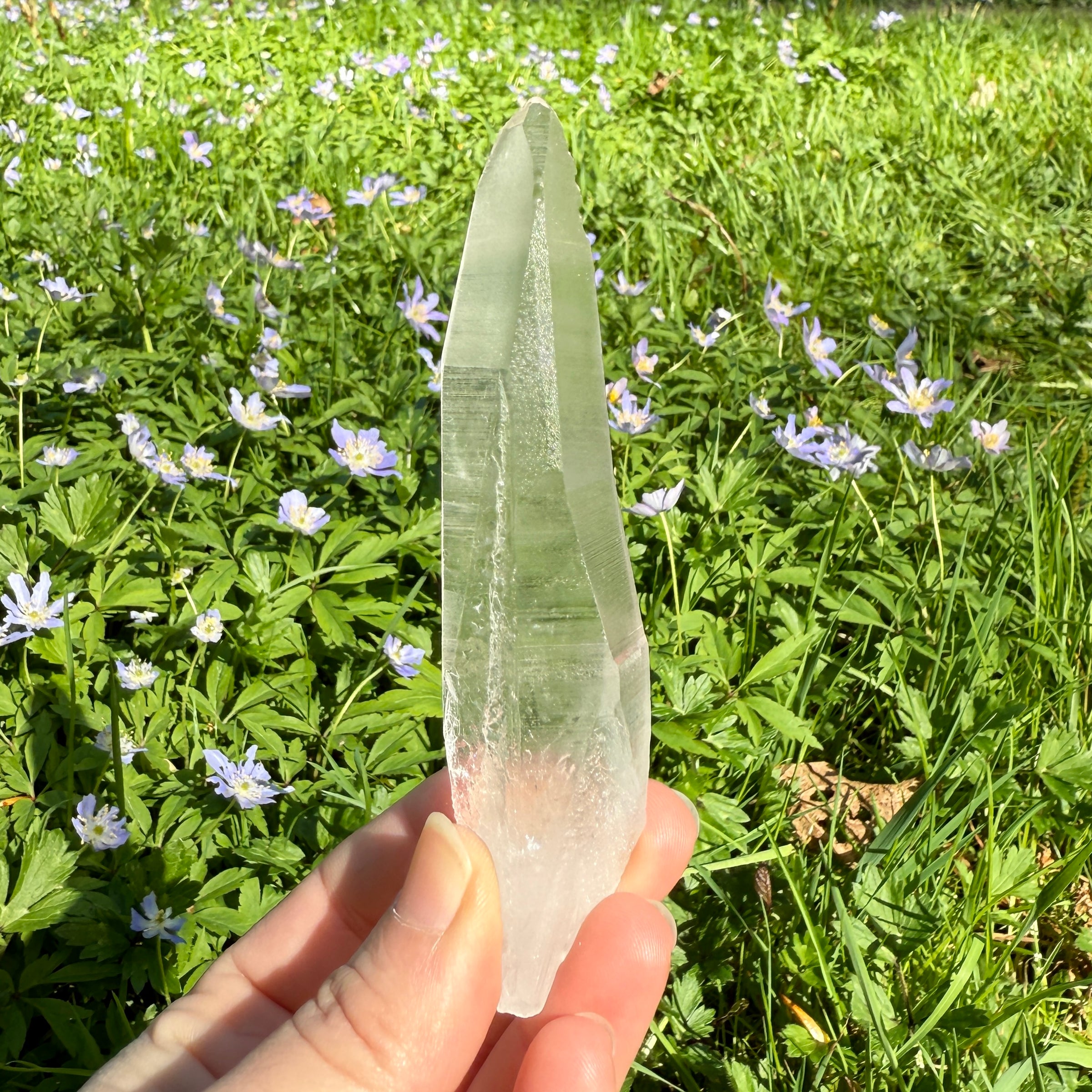 Lemurian Quartz Crystal