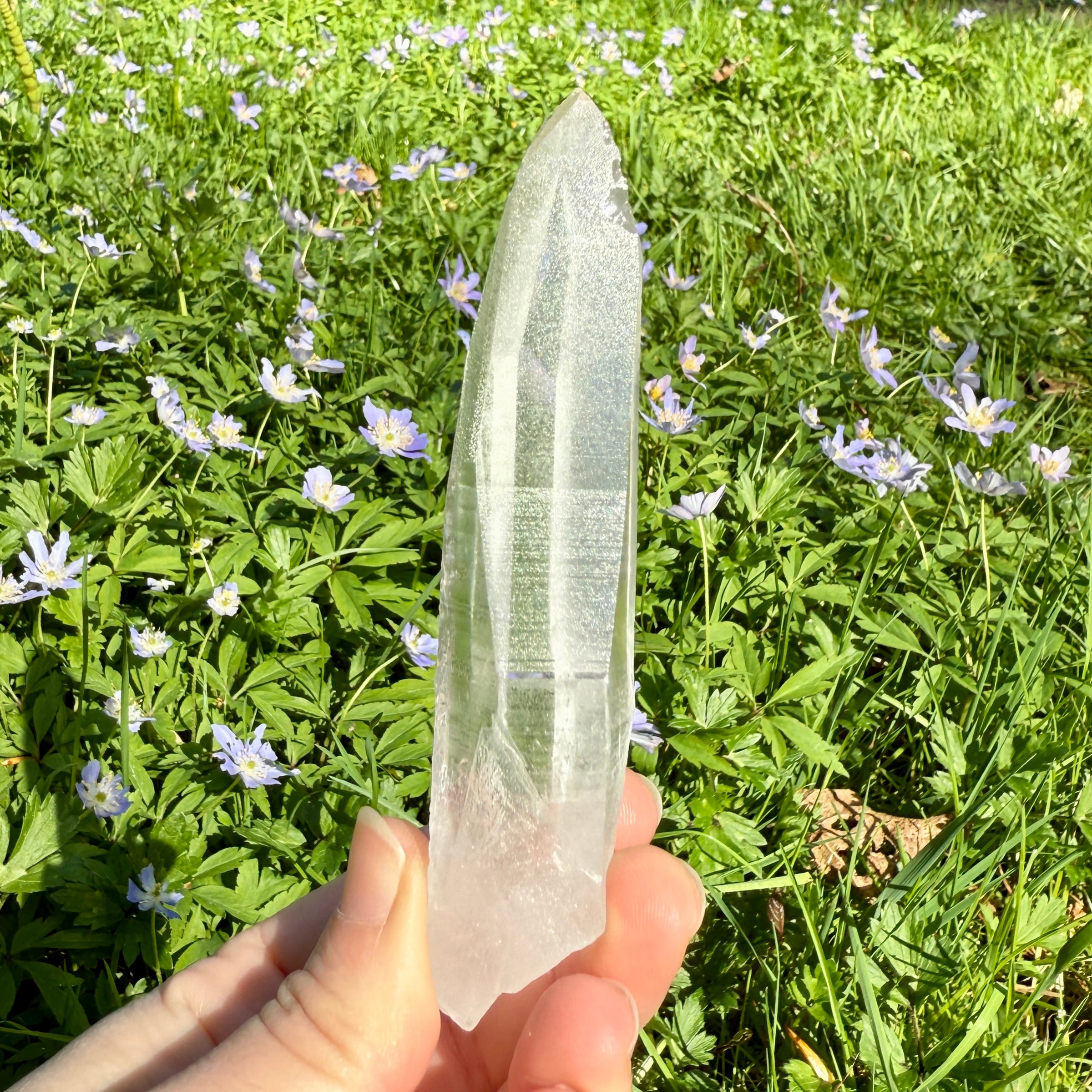 Lemurian Quartz Crystal